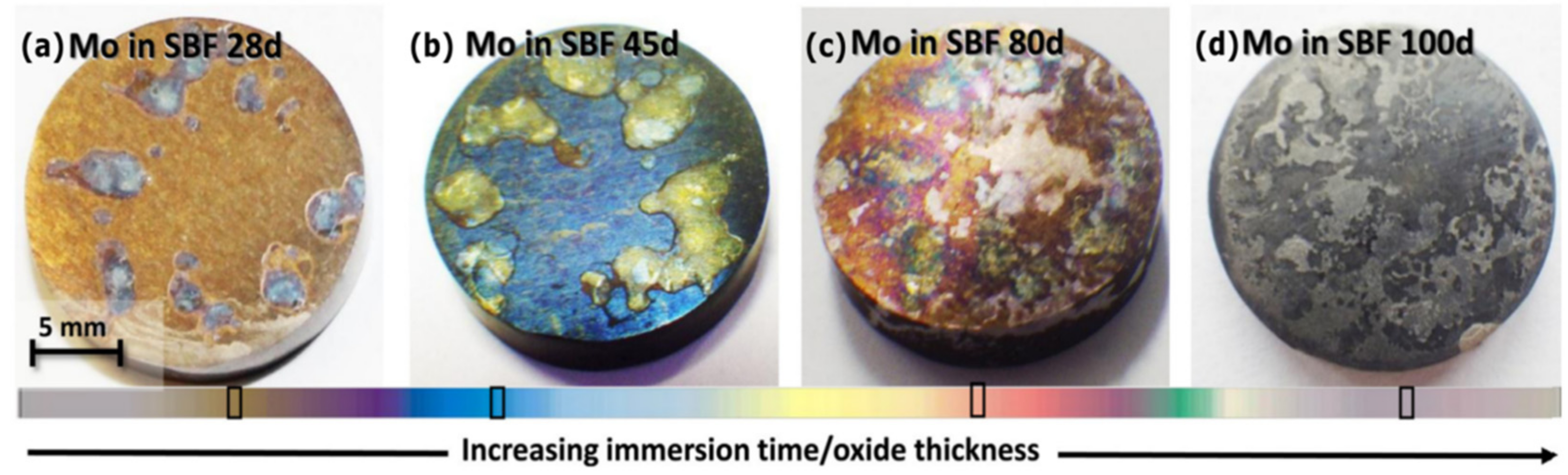 Sensors 22 03062 g005