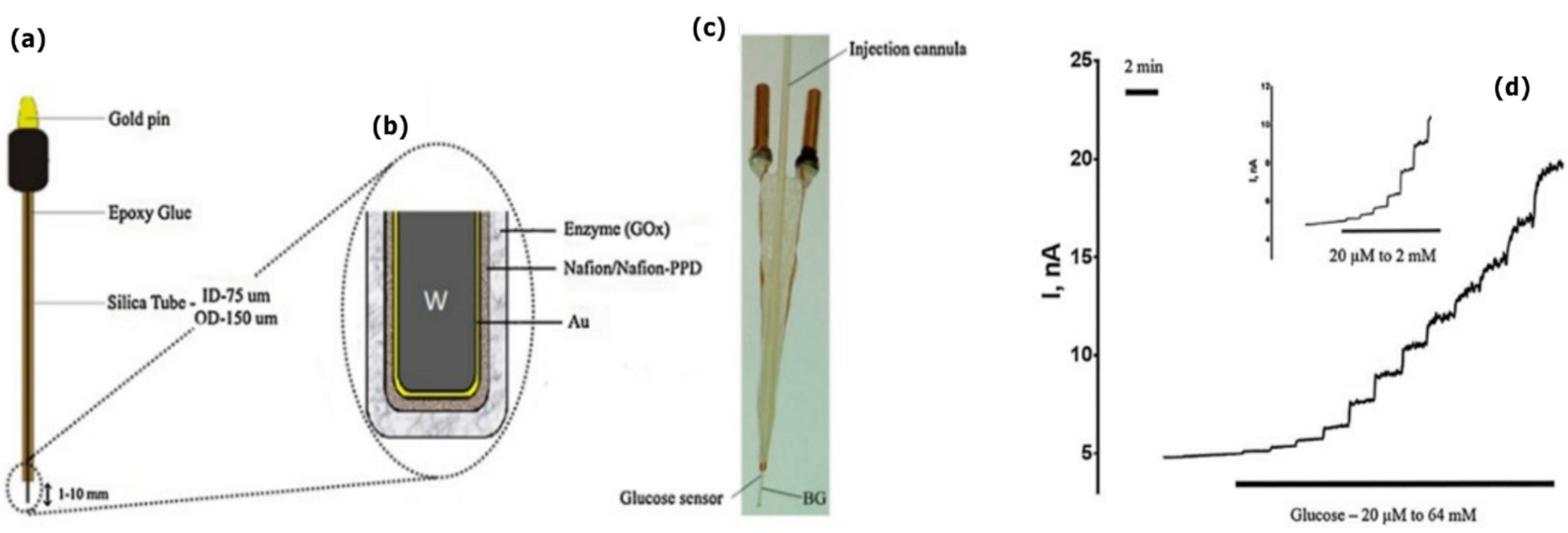 Sensors 22 03062 g010