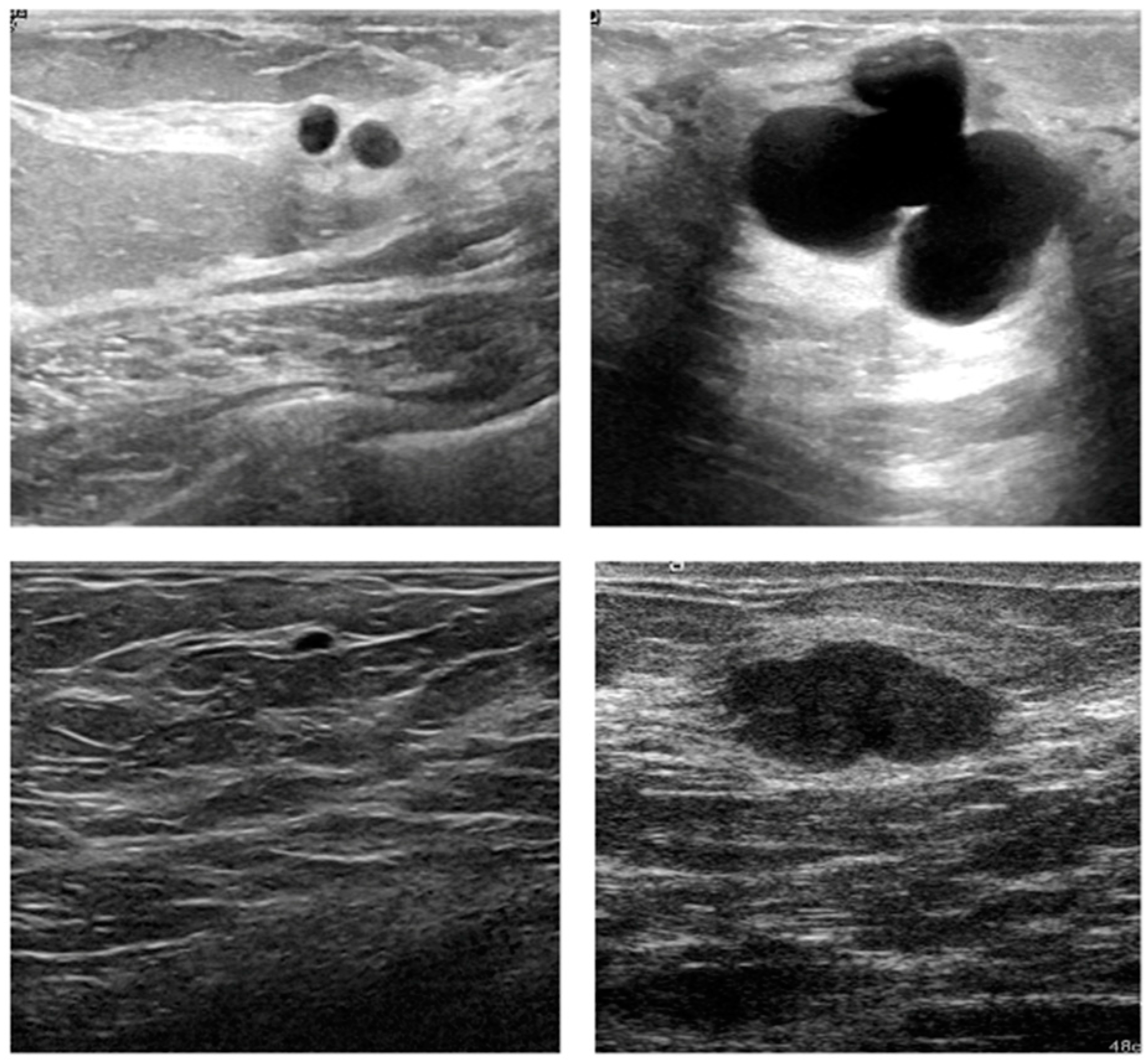 Sensors 22 03076 g002 Sensors 22 03076 g002
