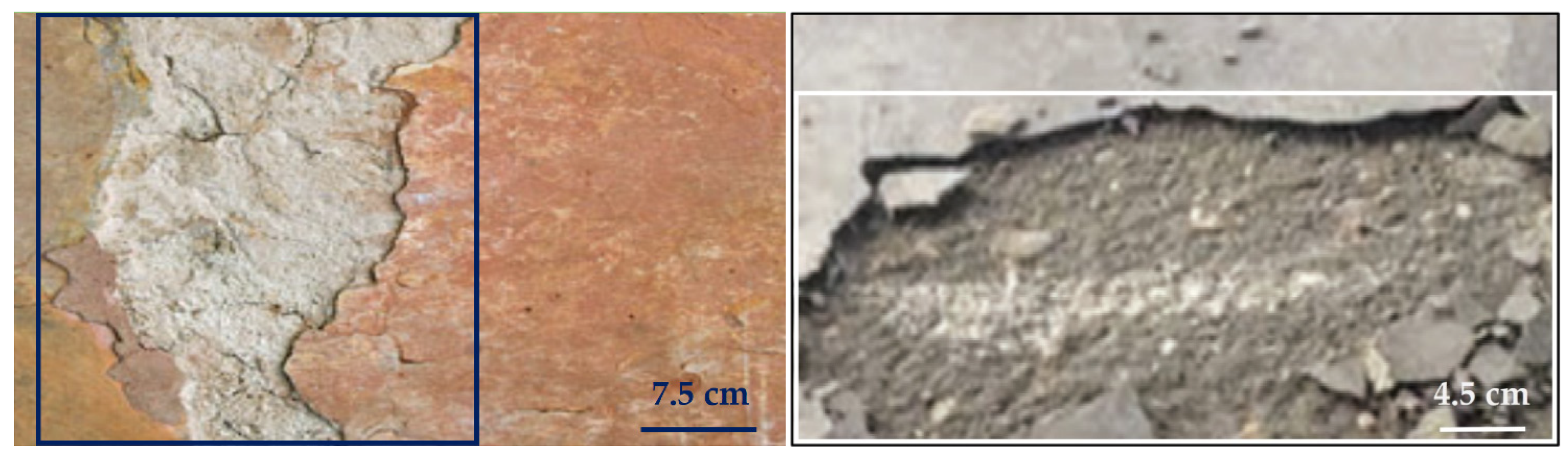 Sensors 22 03118 g003