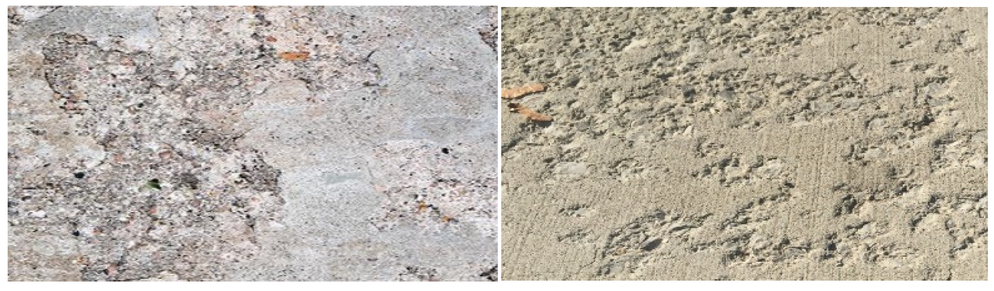 Sensors 22 03118 g004