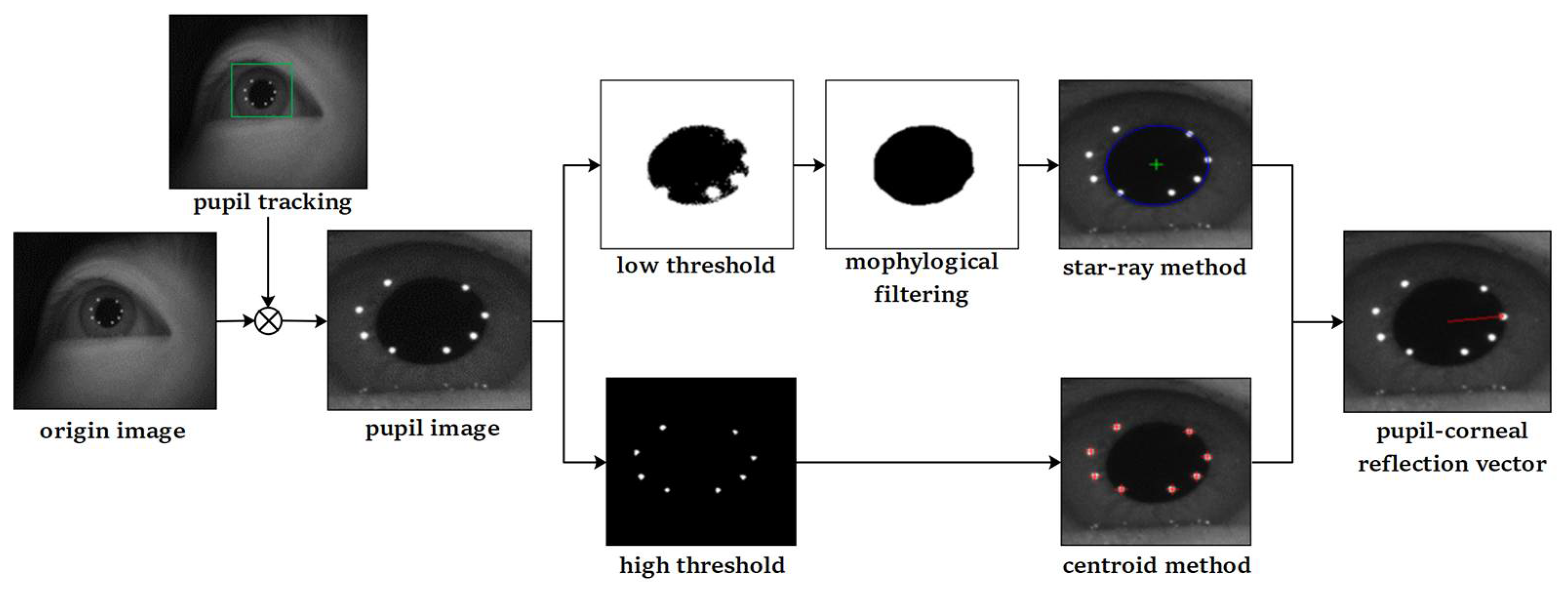 Sensors 22 03131 g002