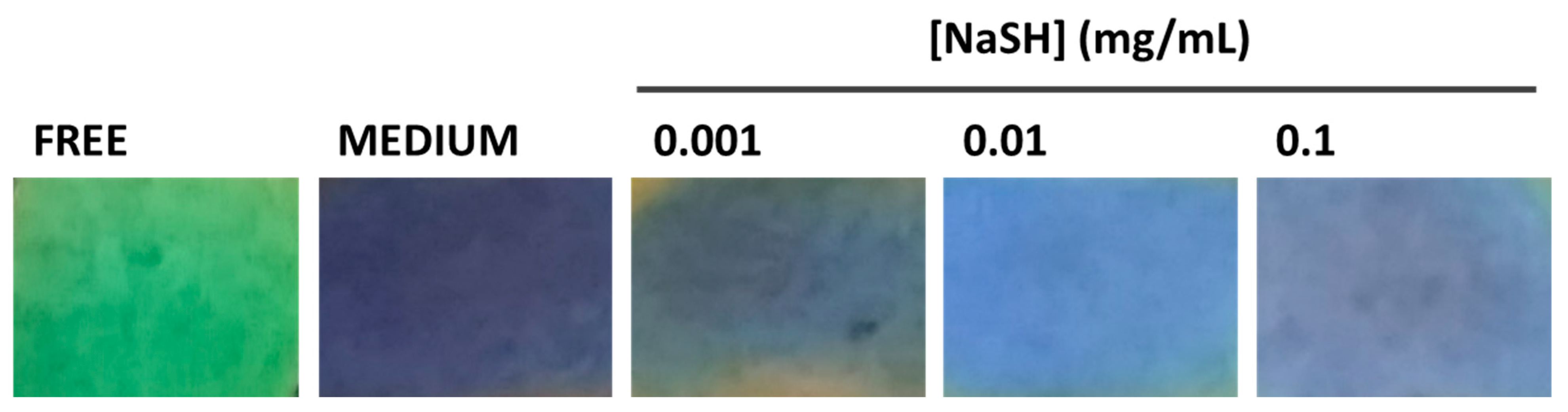 Sensors 22 03173 g007