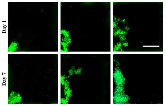 Sensors 22 03191 g0a1 550