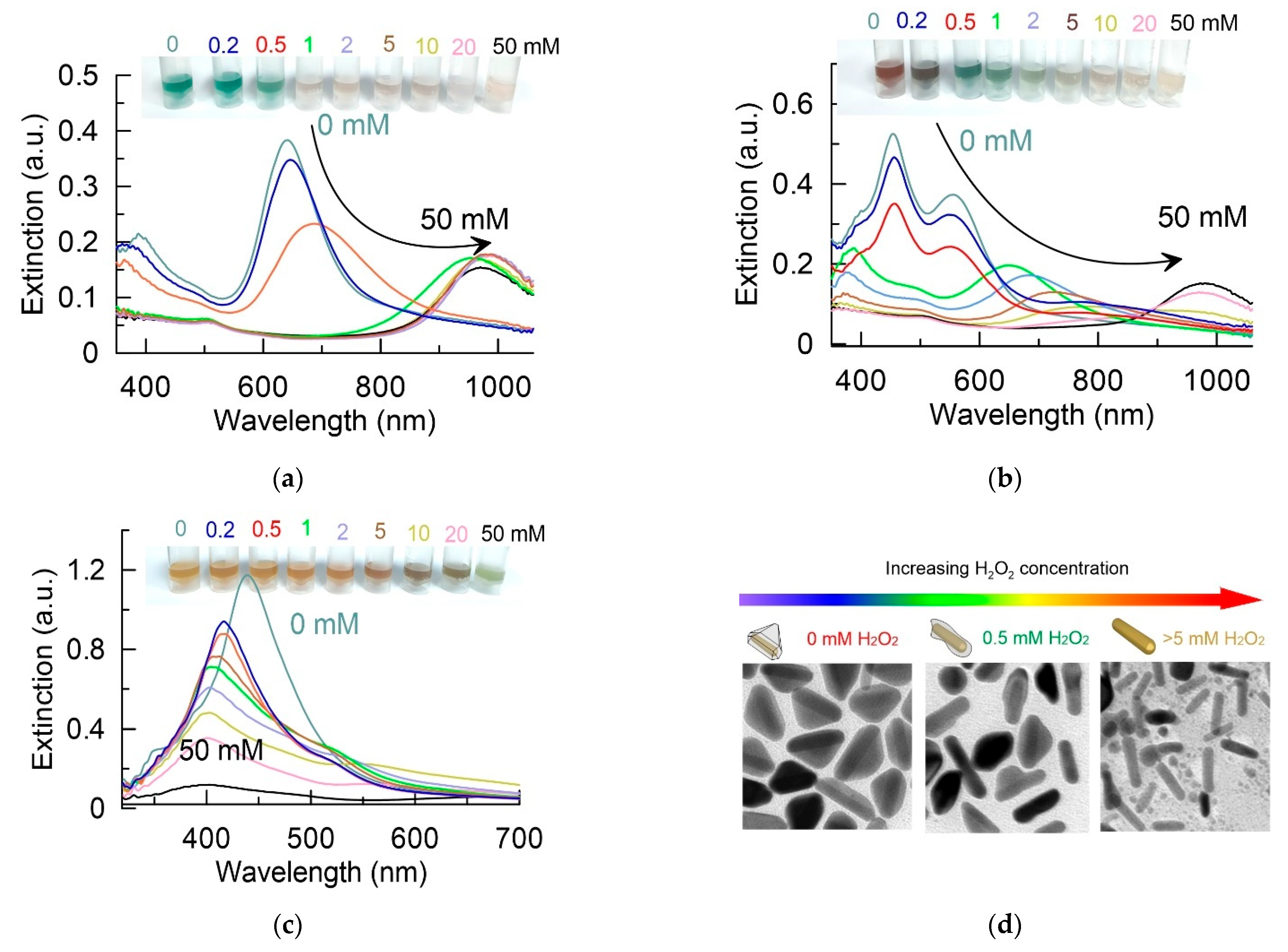 Sensors 22 03202 g004