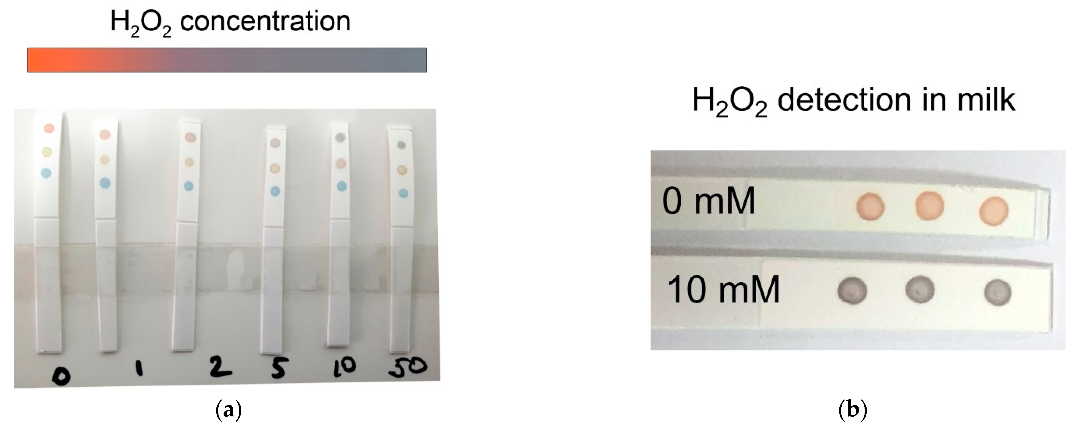 Sensors 22 03202 g006