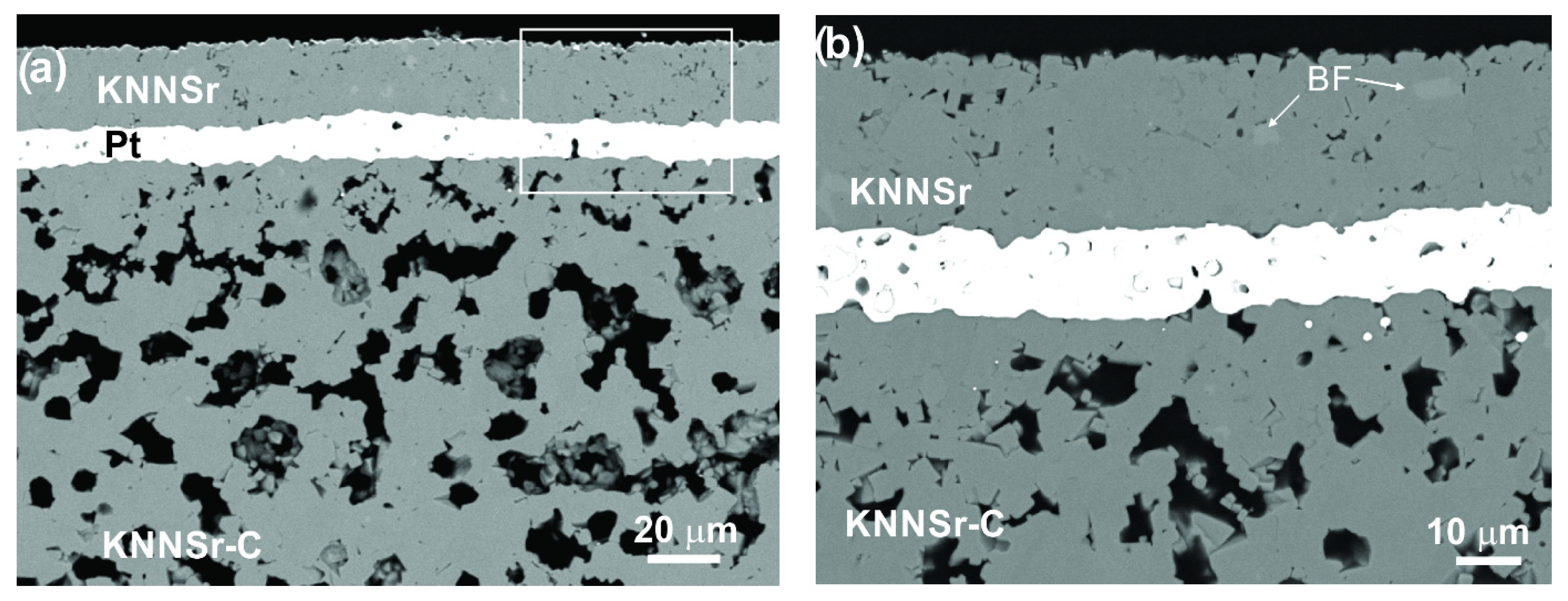 Sensors 22 03223 g005