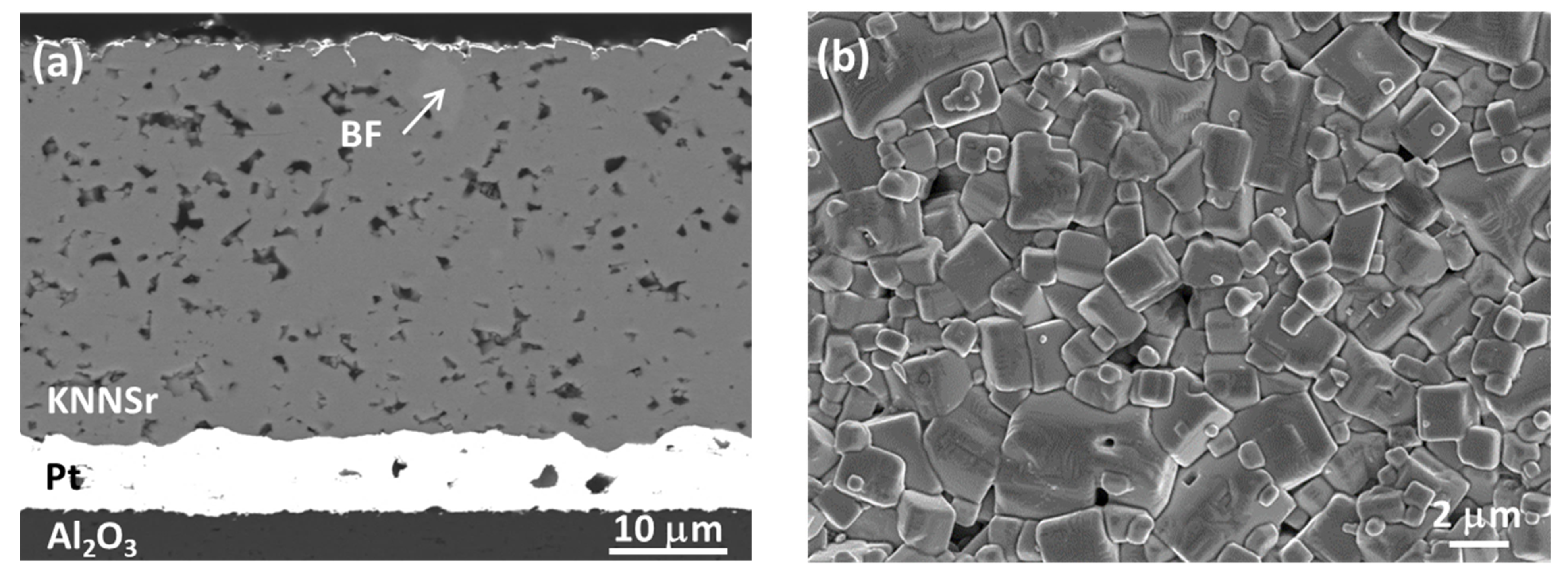 Sensors 22 03223 g0a1