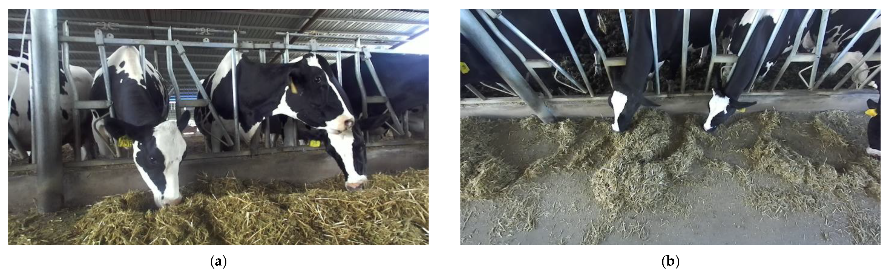 Sensors 22 03271 g003