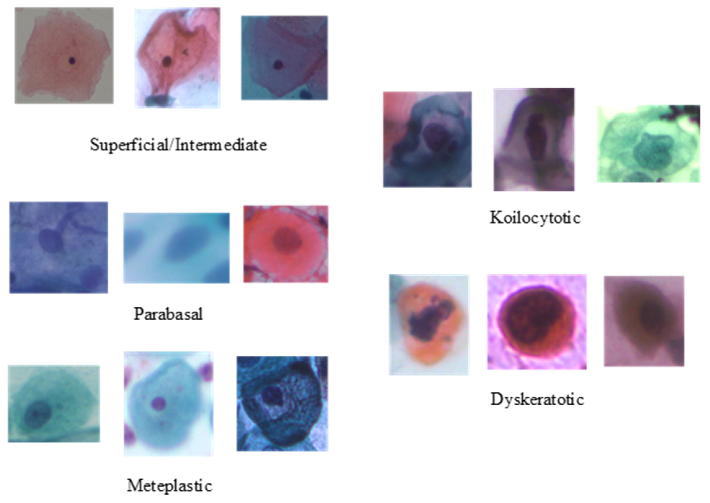 Sensors 22 03272 g002