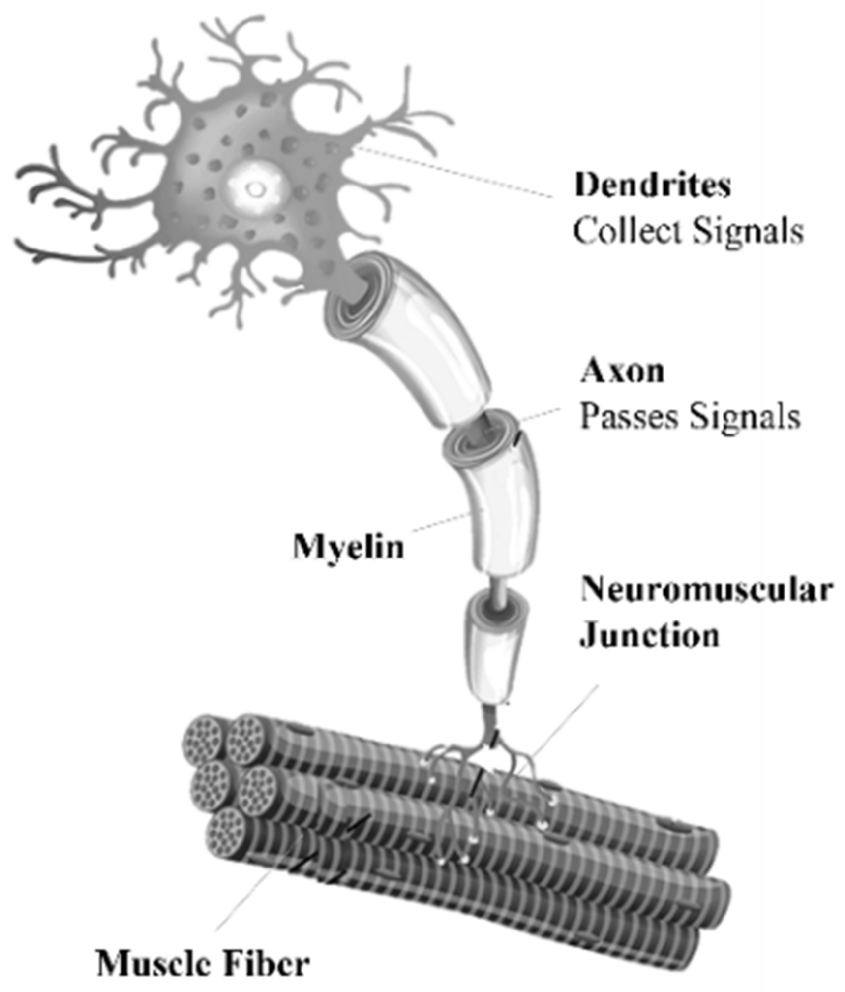 Sensors 22 03424 g001