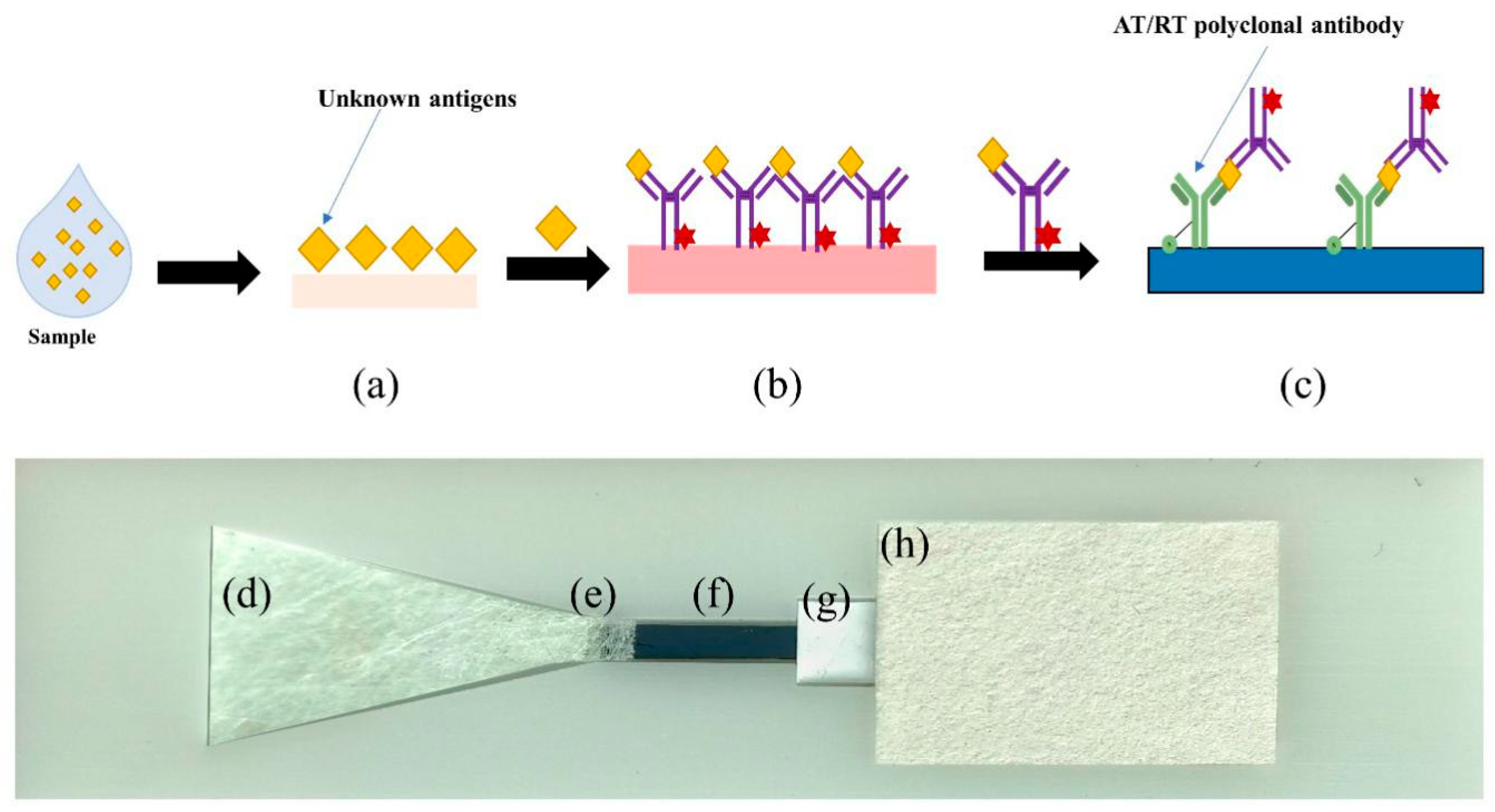 Sensors 22 03461 g007