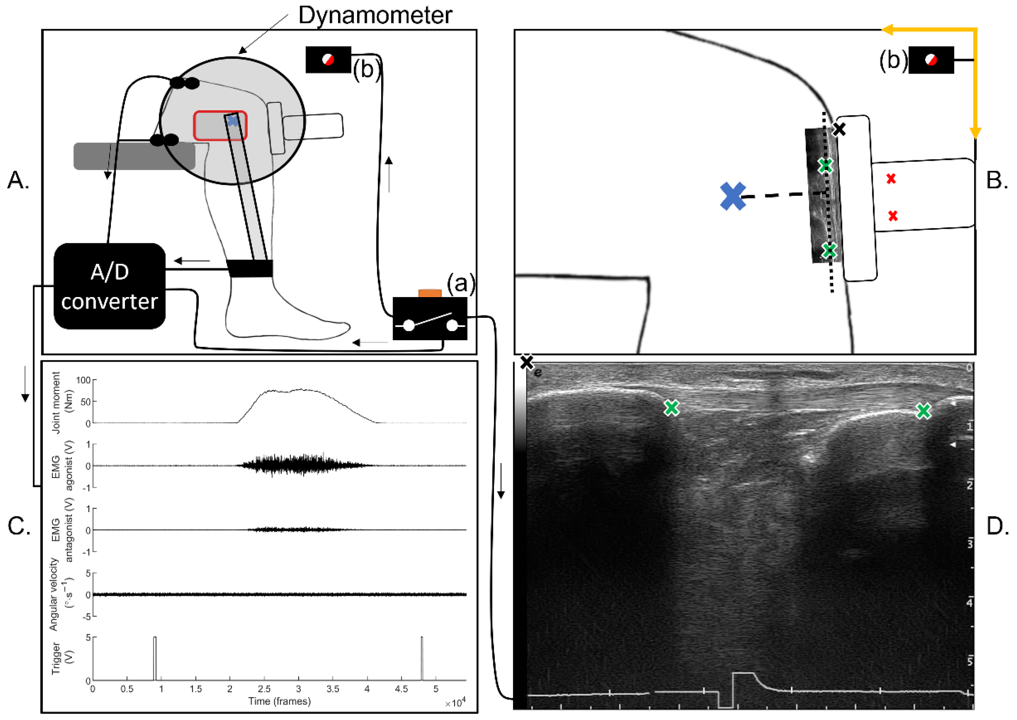 Sensors 22 03483 g001