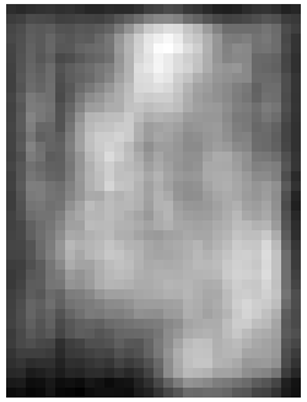 Sensors 22 03491 i013