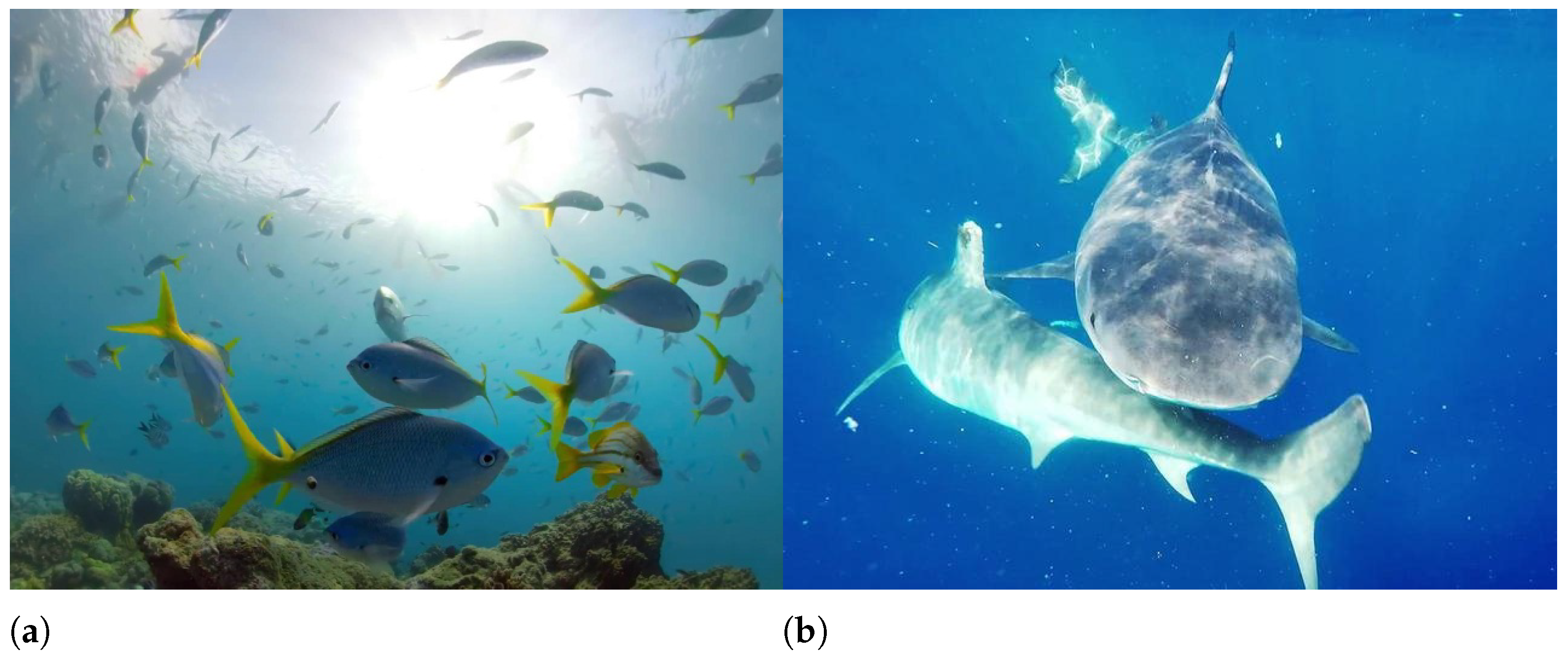 Sensors 22 03550 g007