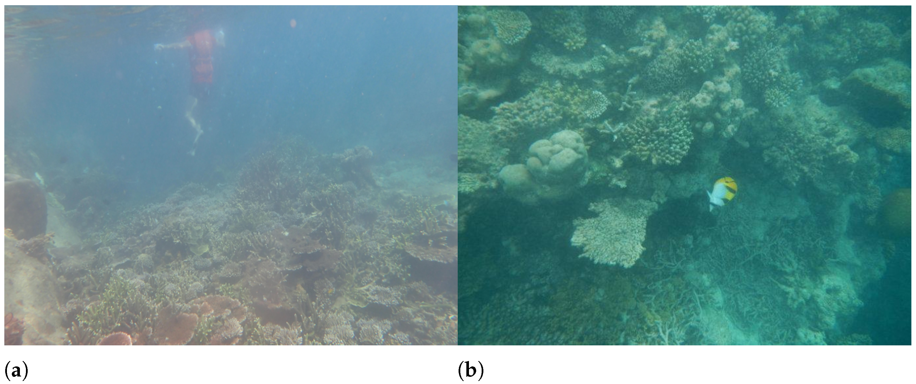 Sensors 22 03550 g008