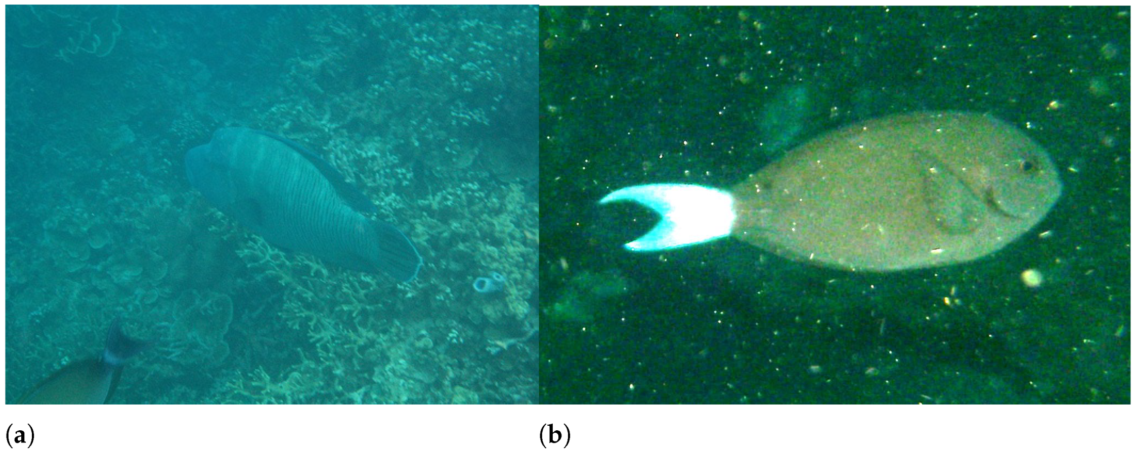 Sensors 22 03550 g009