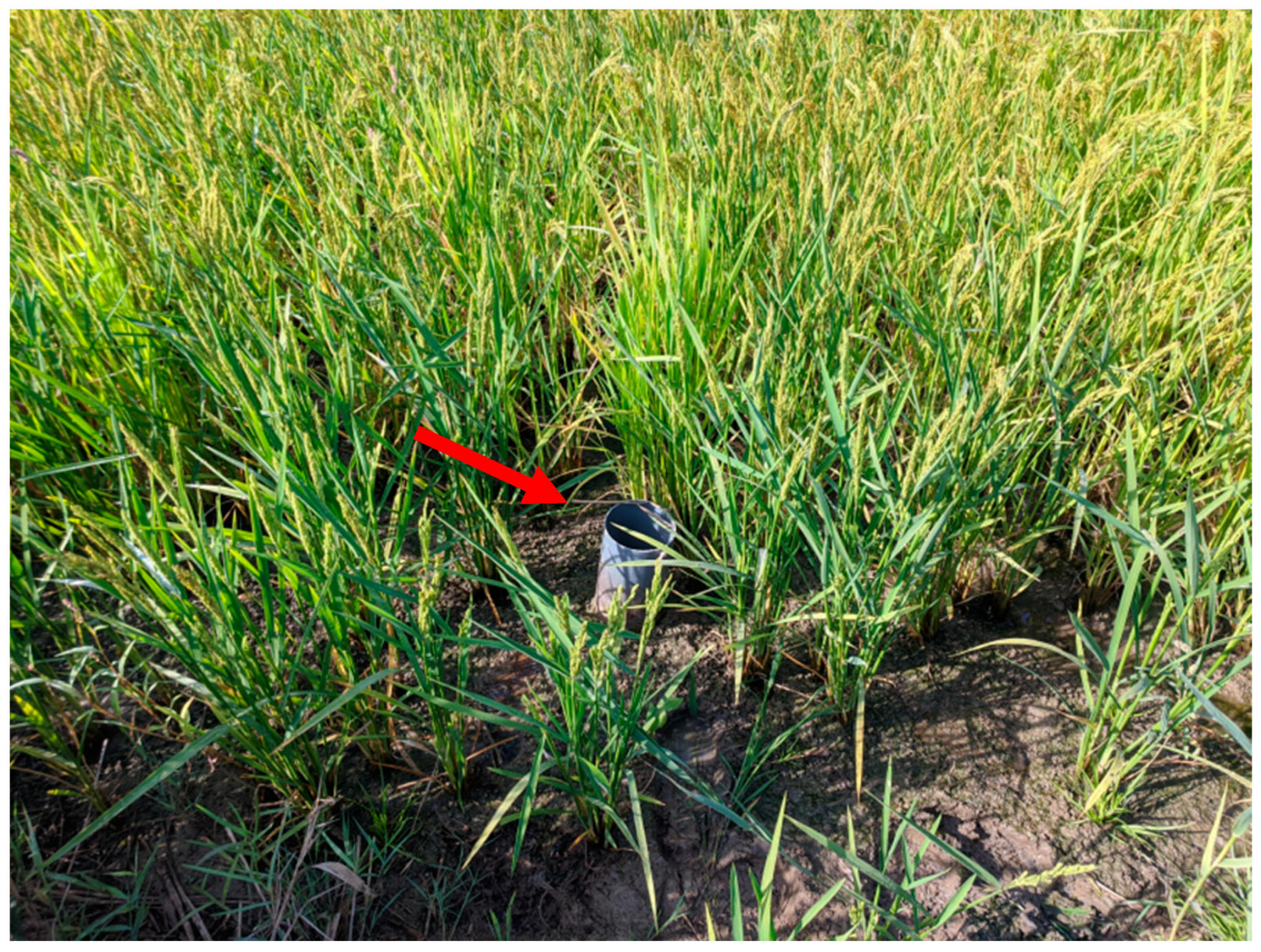 Sensors 22 03632 g003