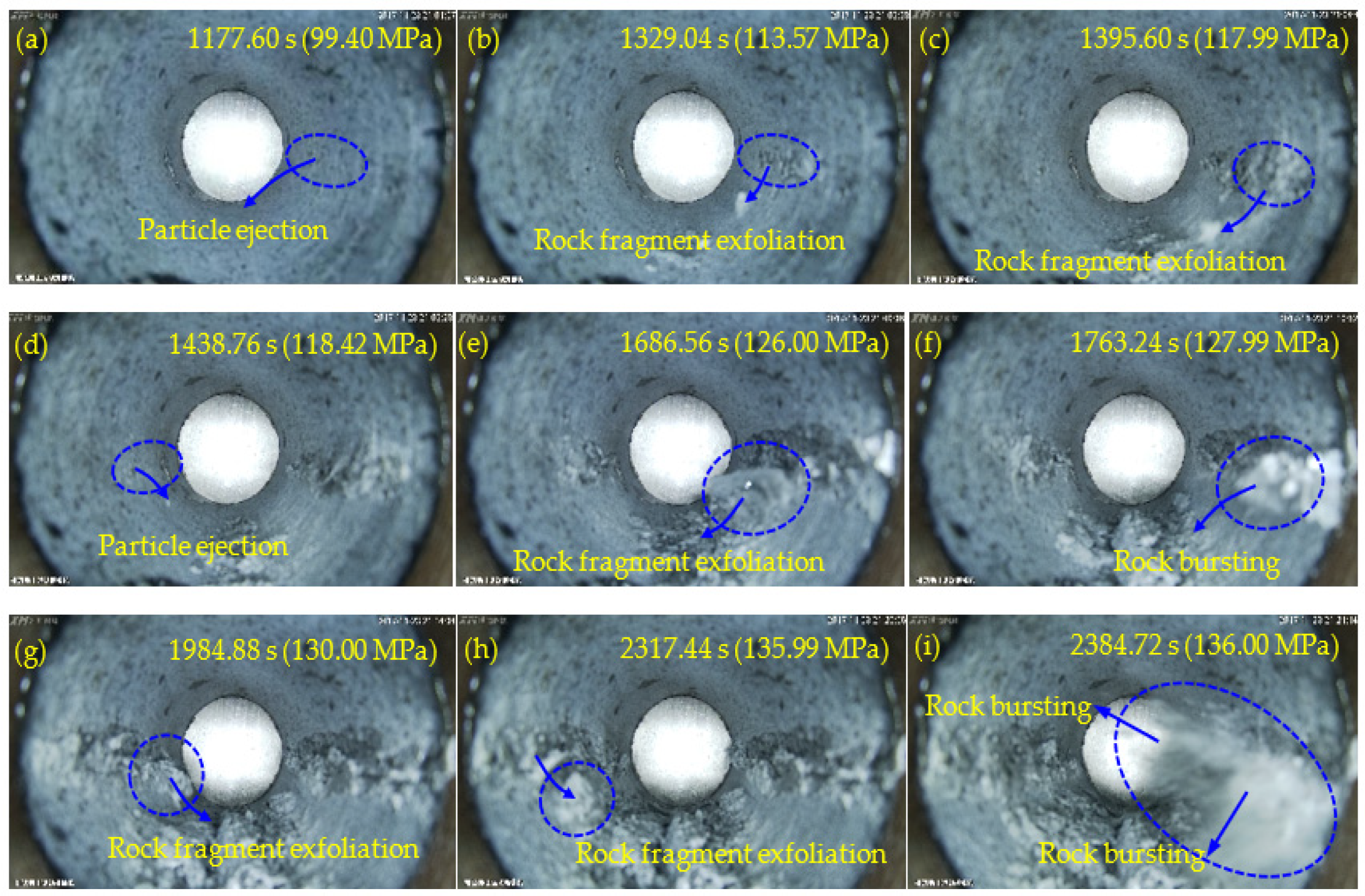 Sensors 22 03679 g007