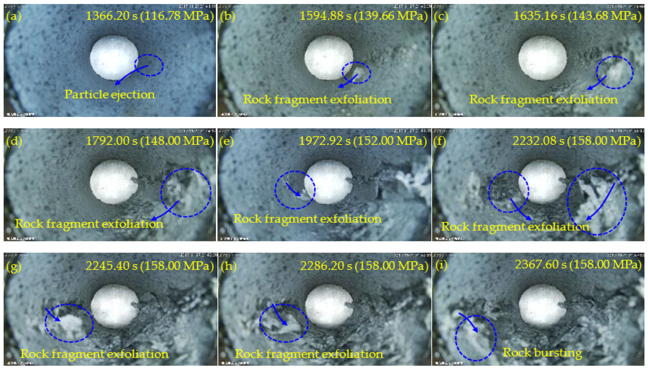 Sensors 22 03679 g008