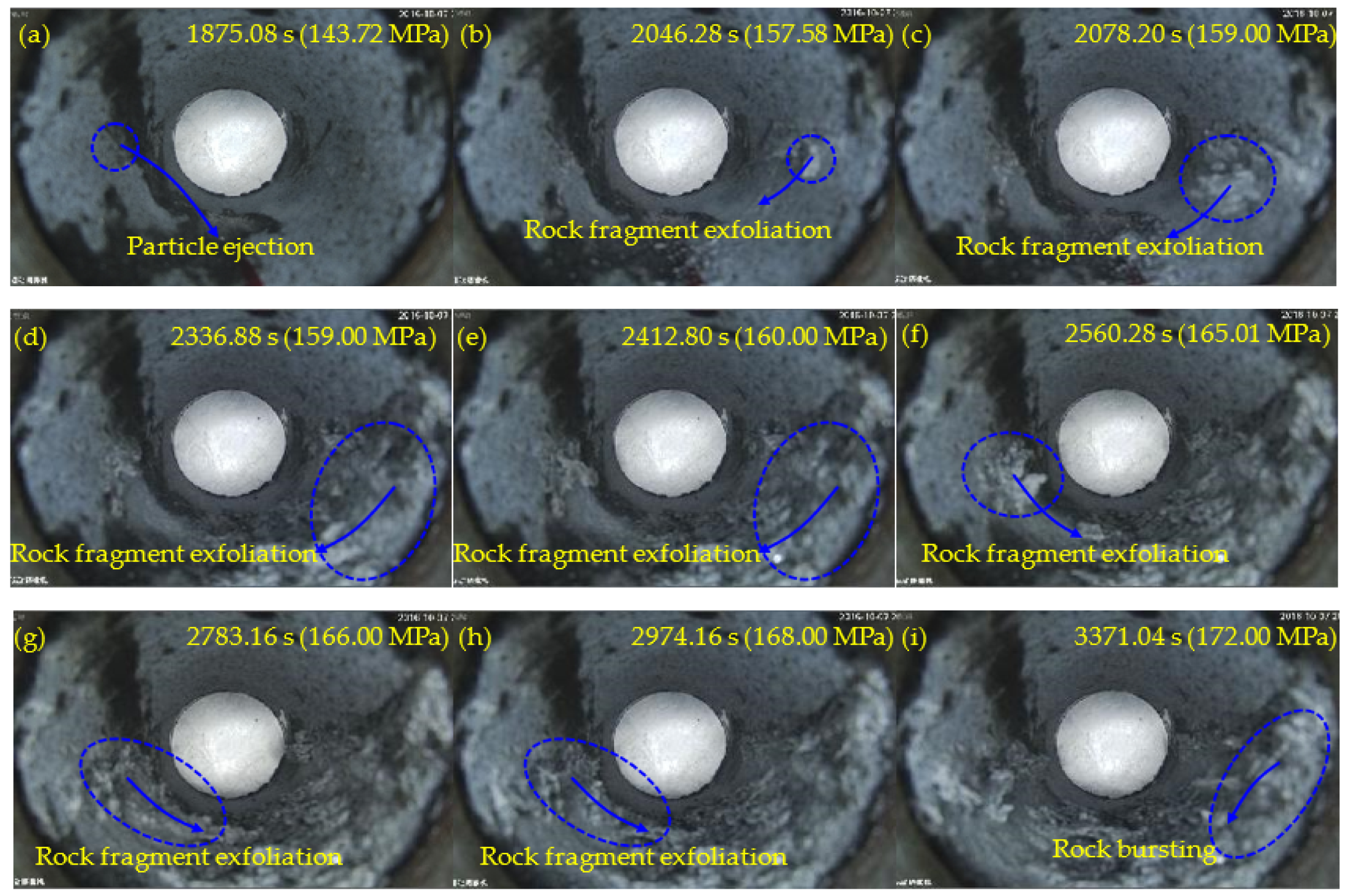 Sensors 22 03679 g009