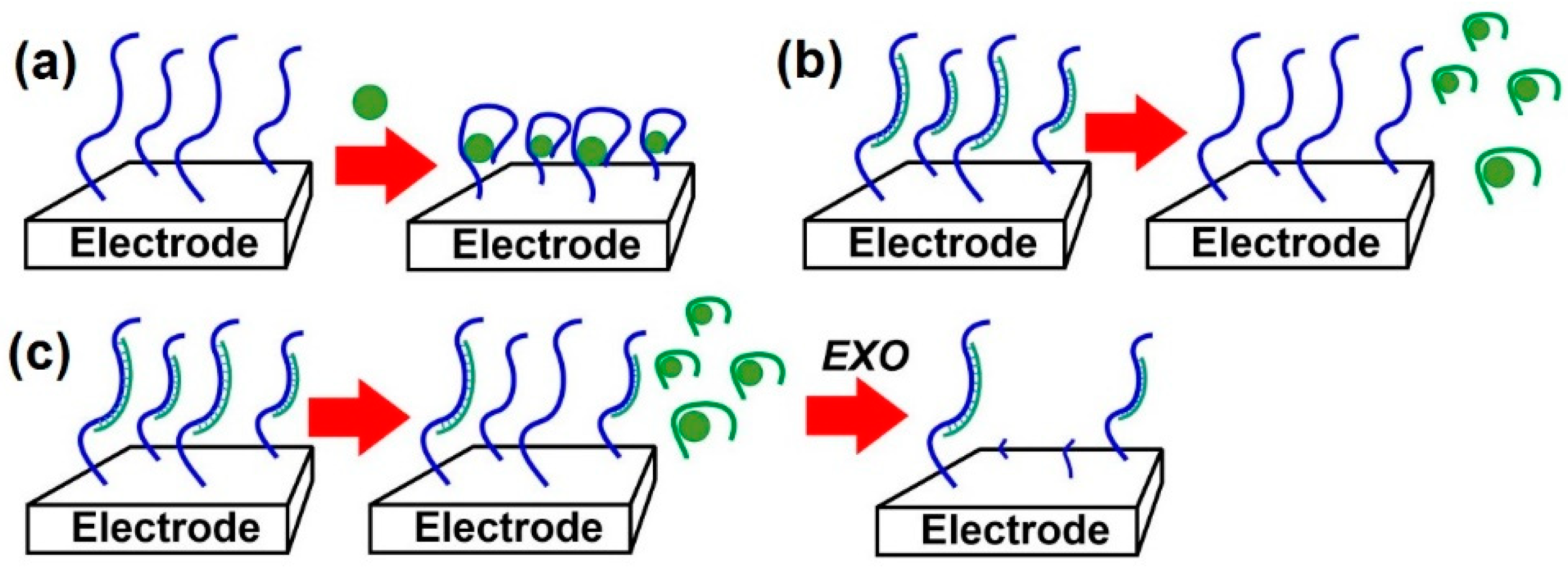 Sensors 22 03684 g005