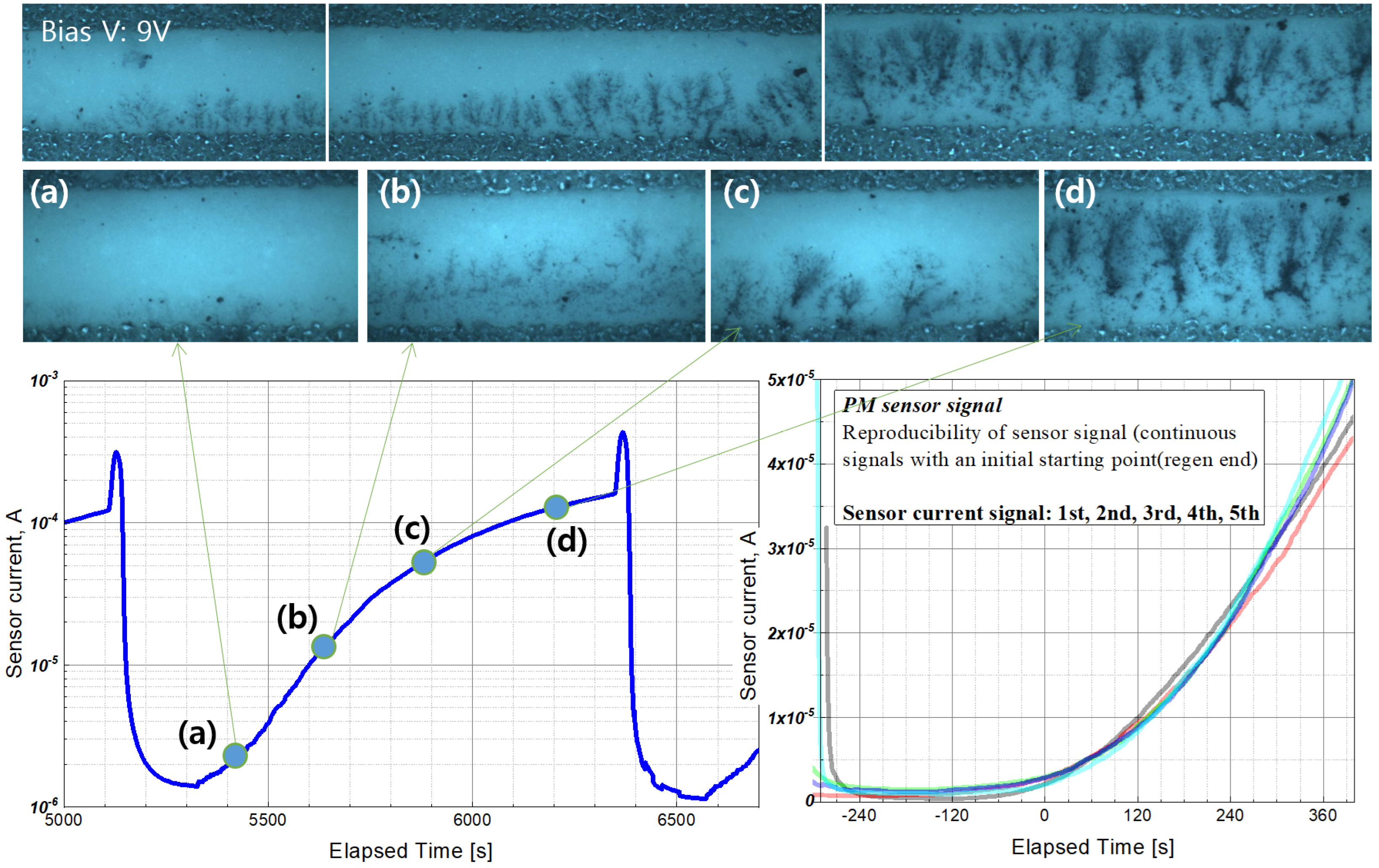 Sensors 22 03767 g007