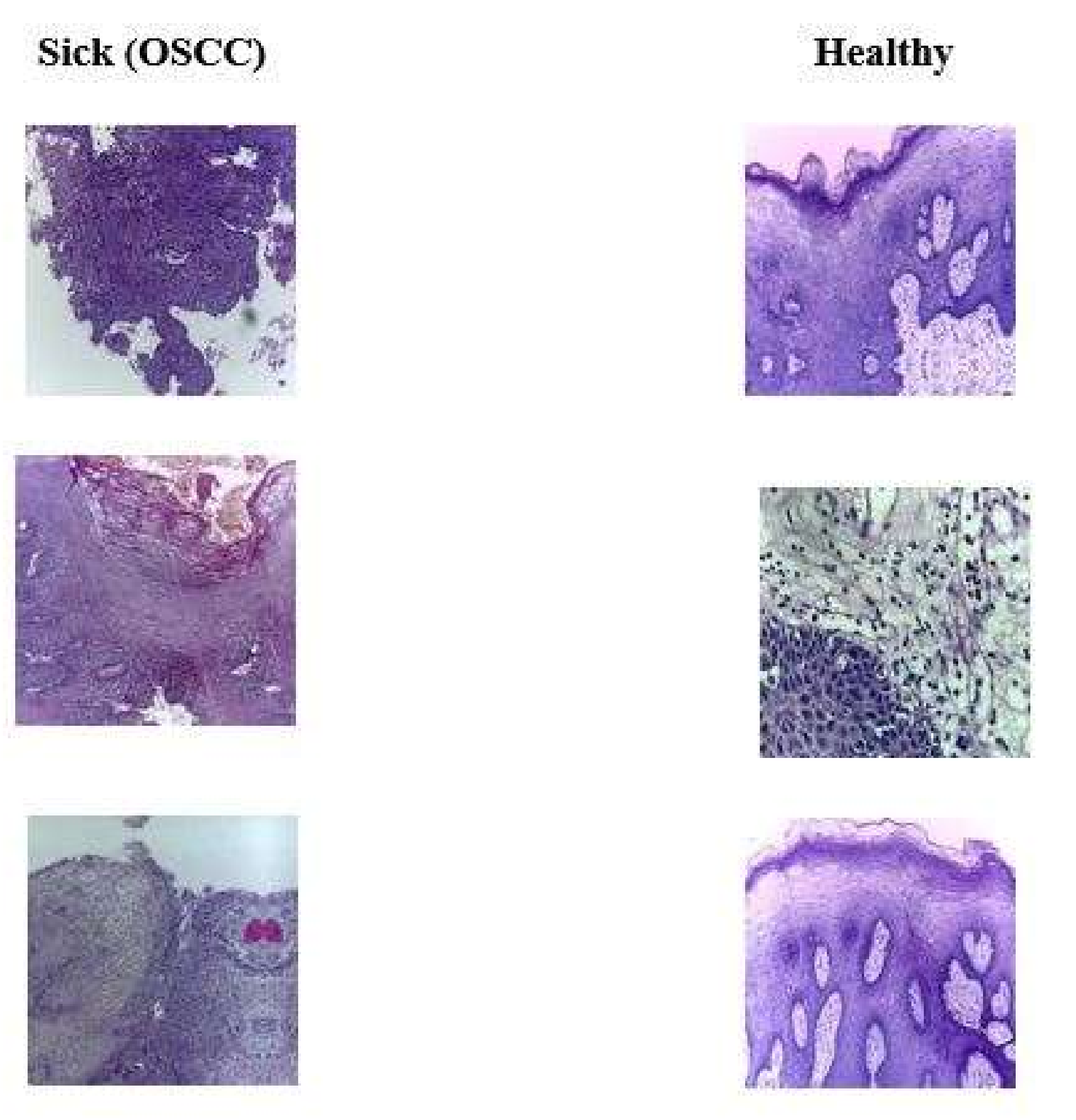 Sensors 22 03833 g002