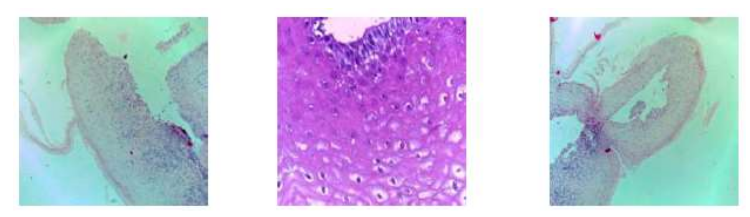 Sensors 22 03833 g003