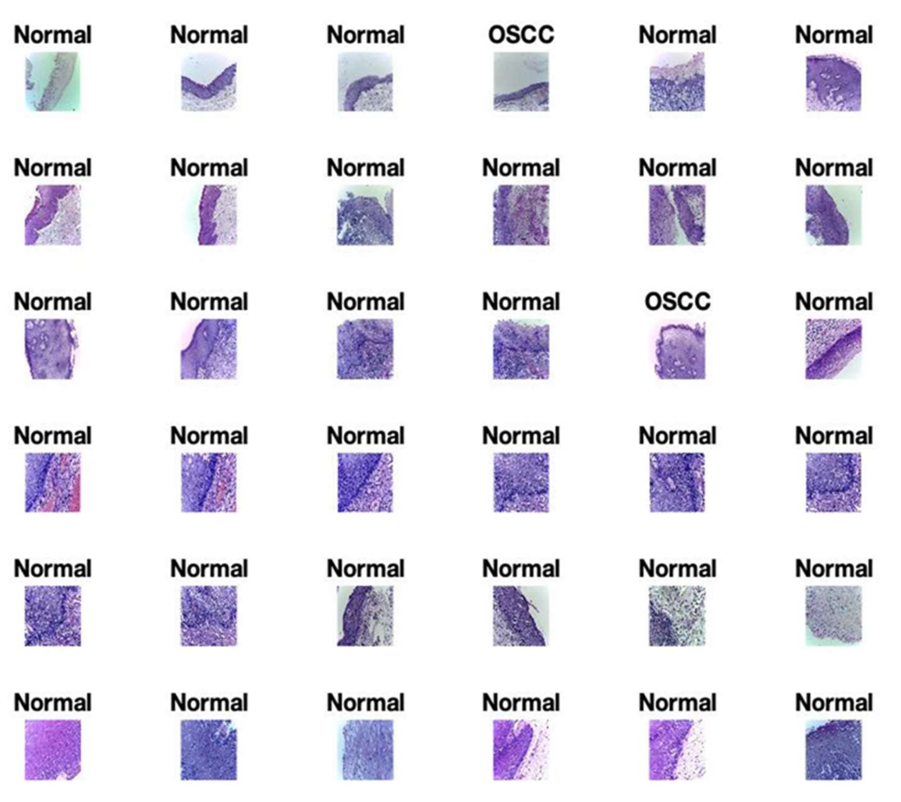 Sensors 22 03833 g005