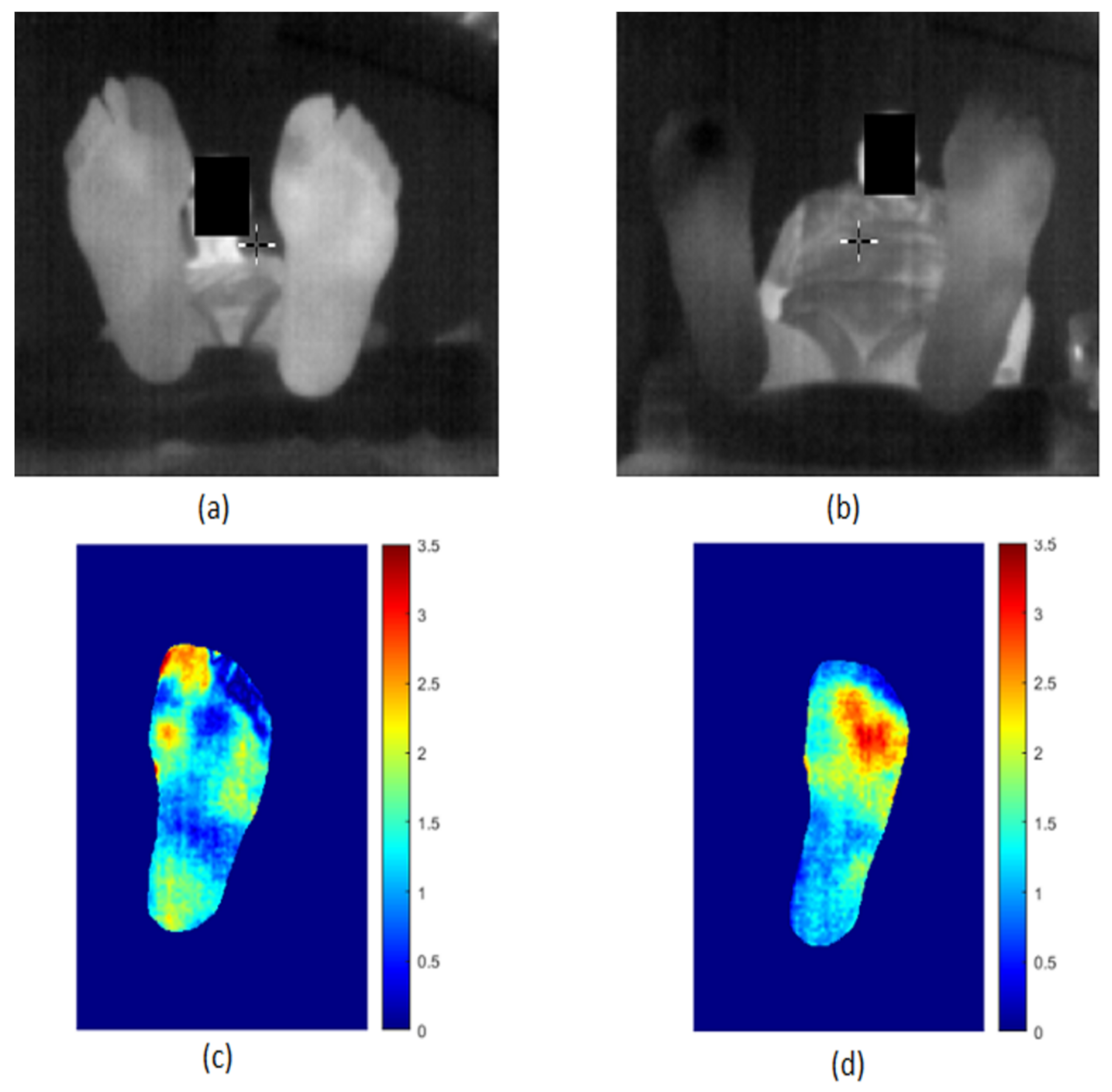 Sensors 22 03835 g009