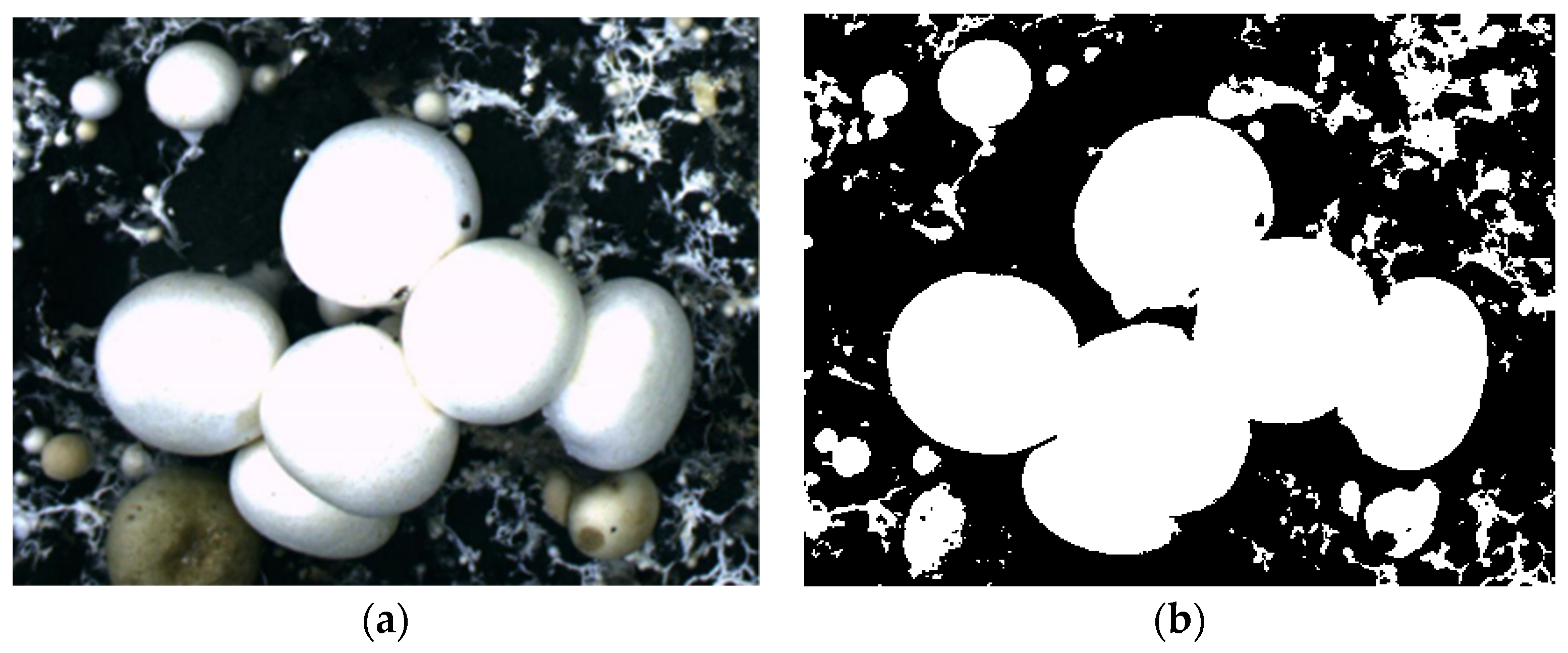 Sensors 22 03946 g003