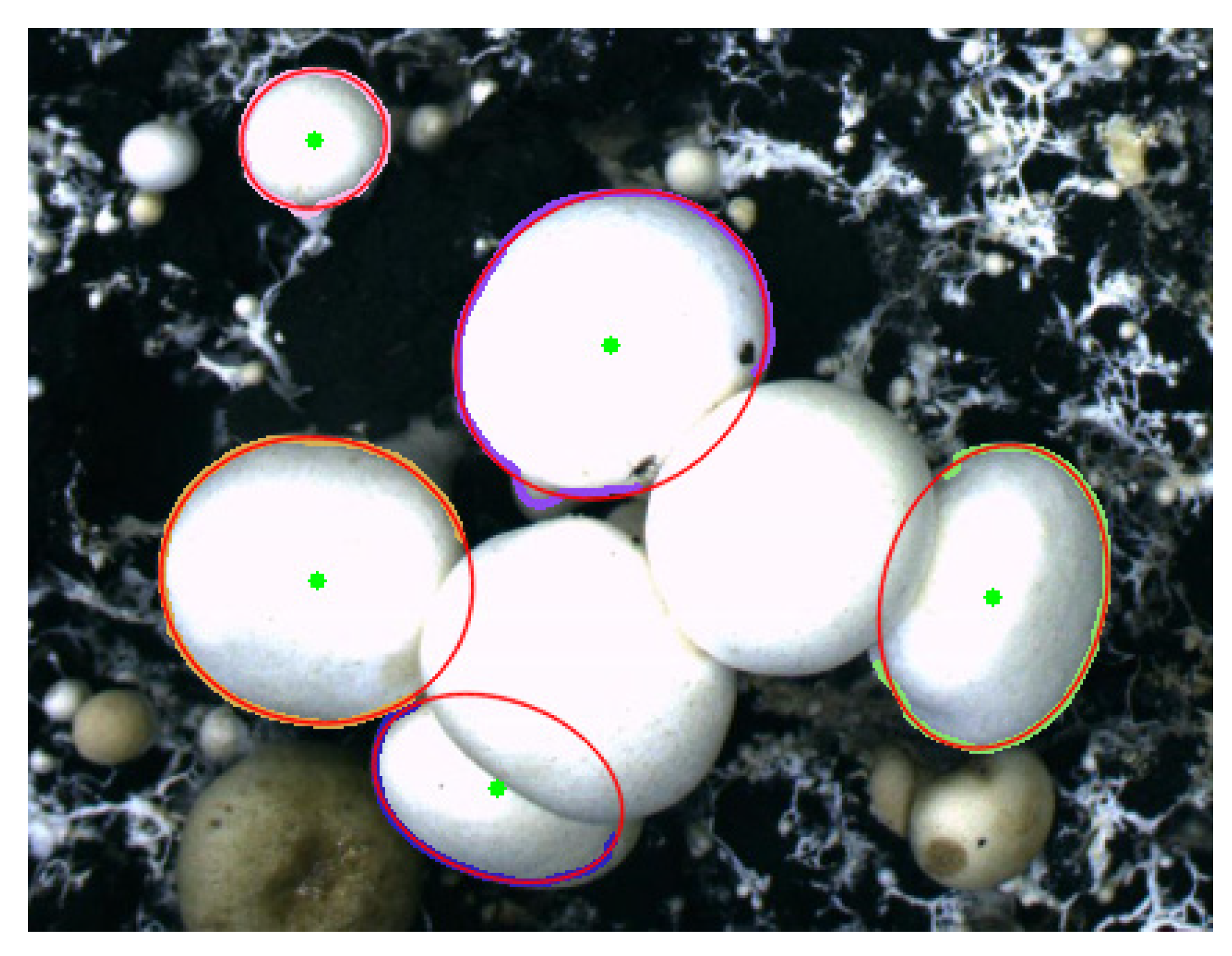 Sensors 22 03946 g014