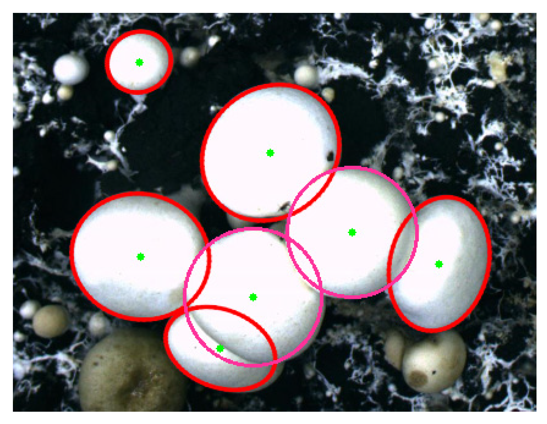 Sensors 22 03946 g016