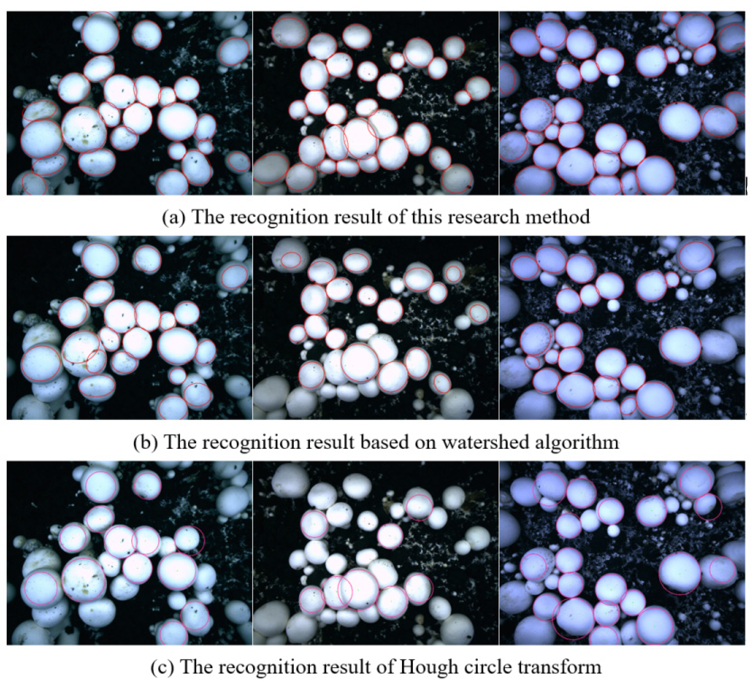 Sensors 22 03946 g018