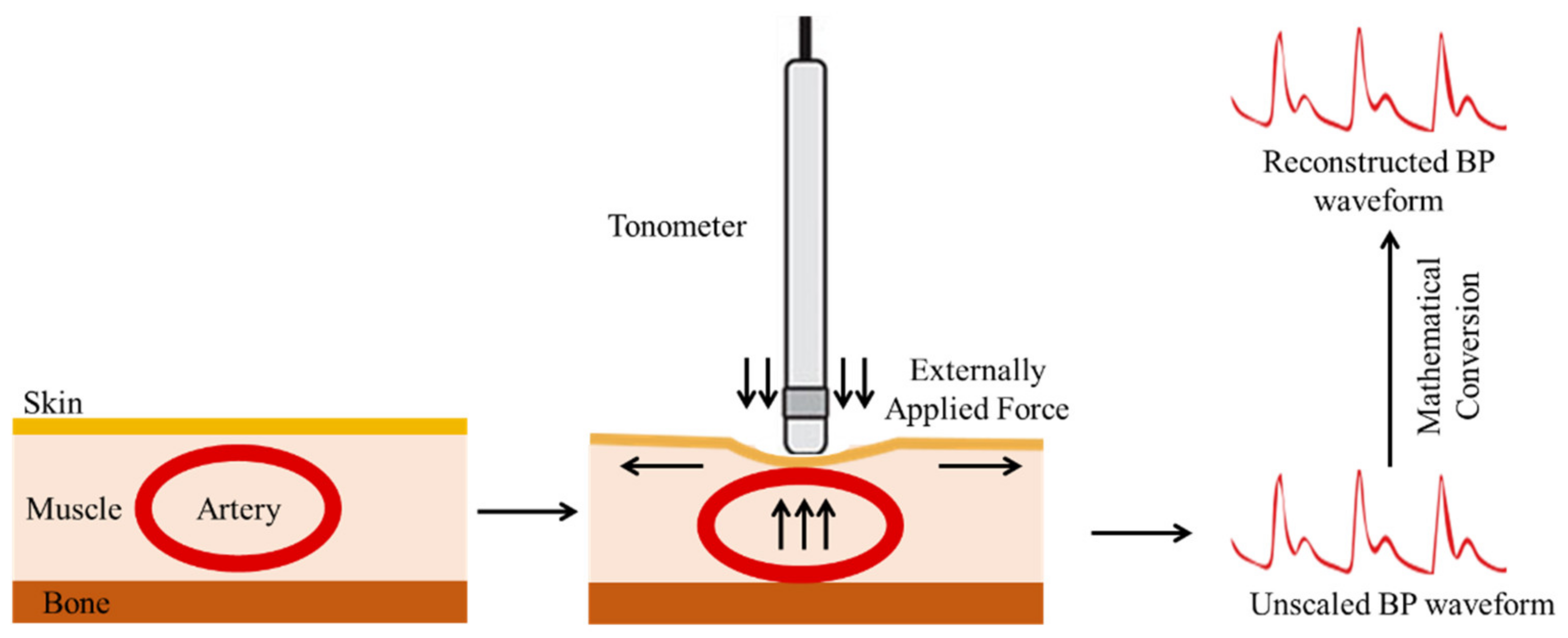 Sensors 22 03953 g002