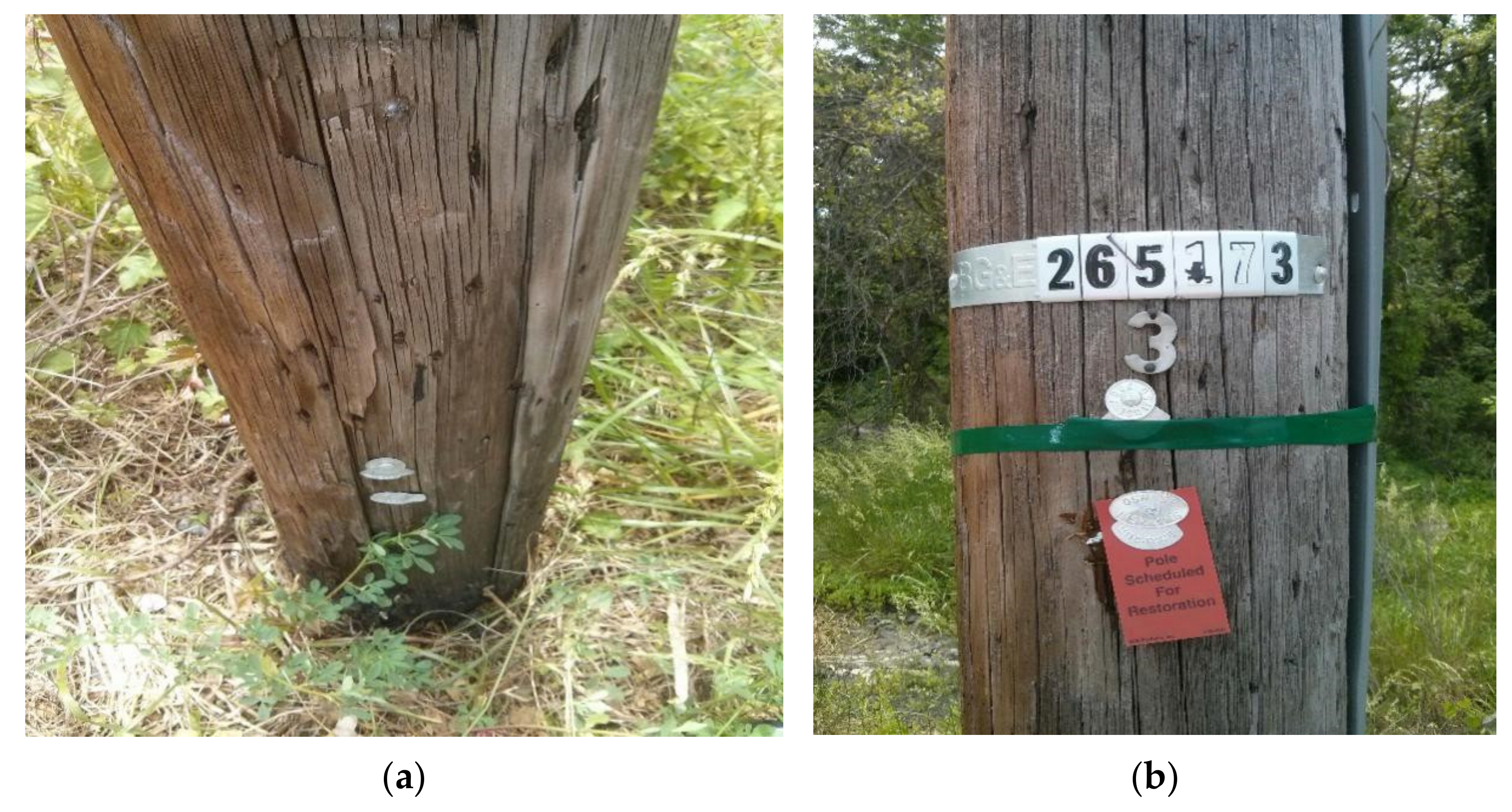 Sensors 22 04007 g015