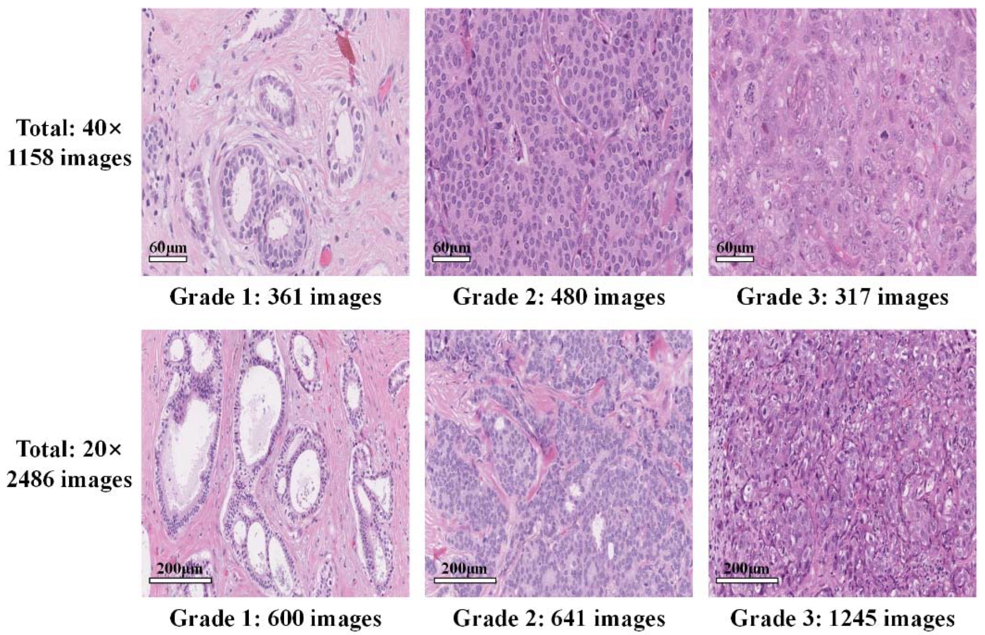 Sensors 22 04061 g002