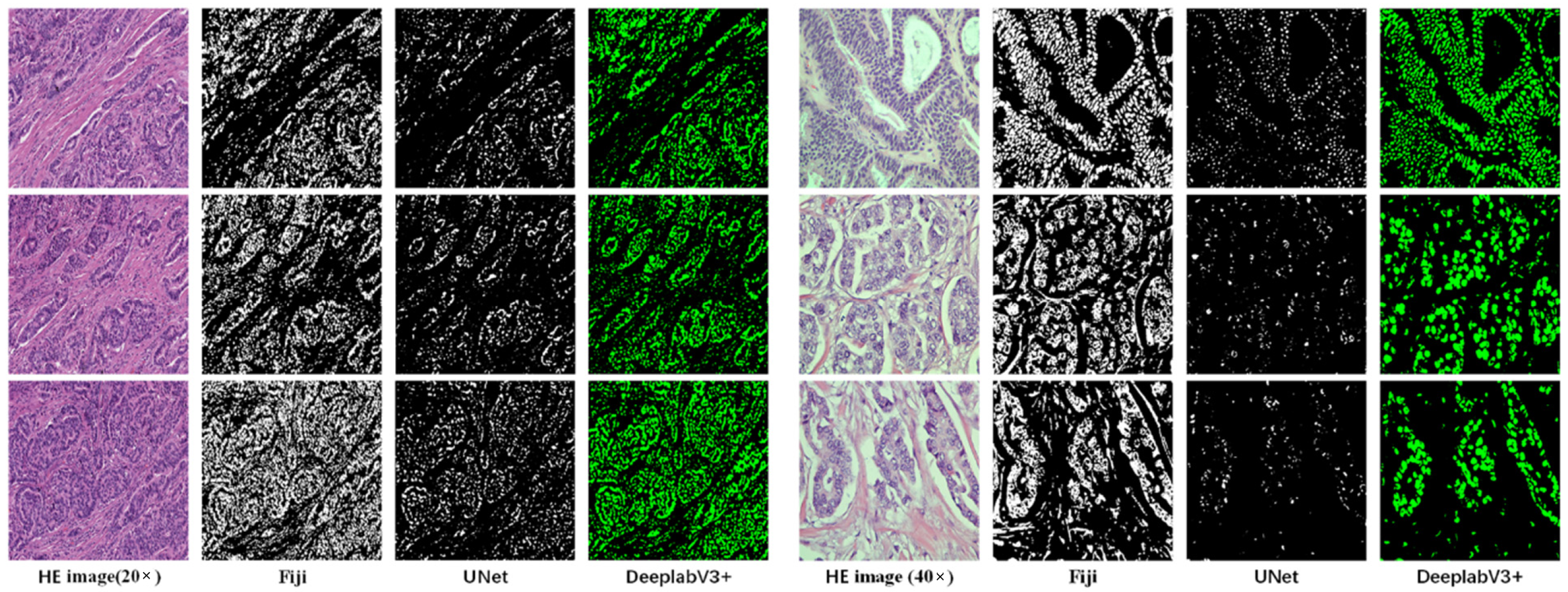 Sensors 22 04061 g009