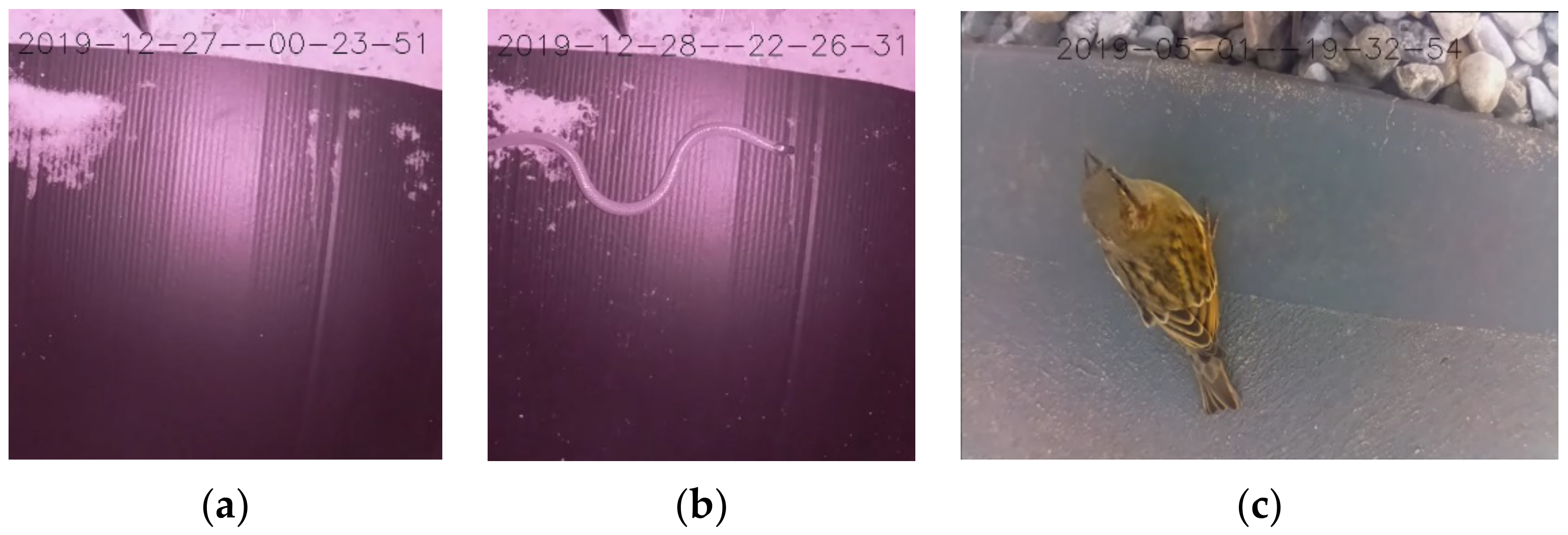 Sensors 22 04094 g004