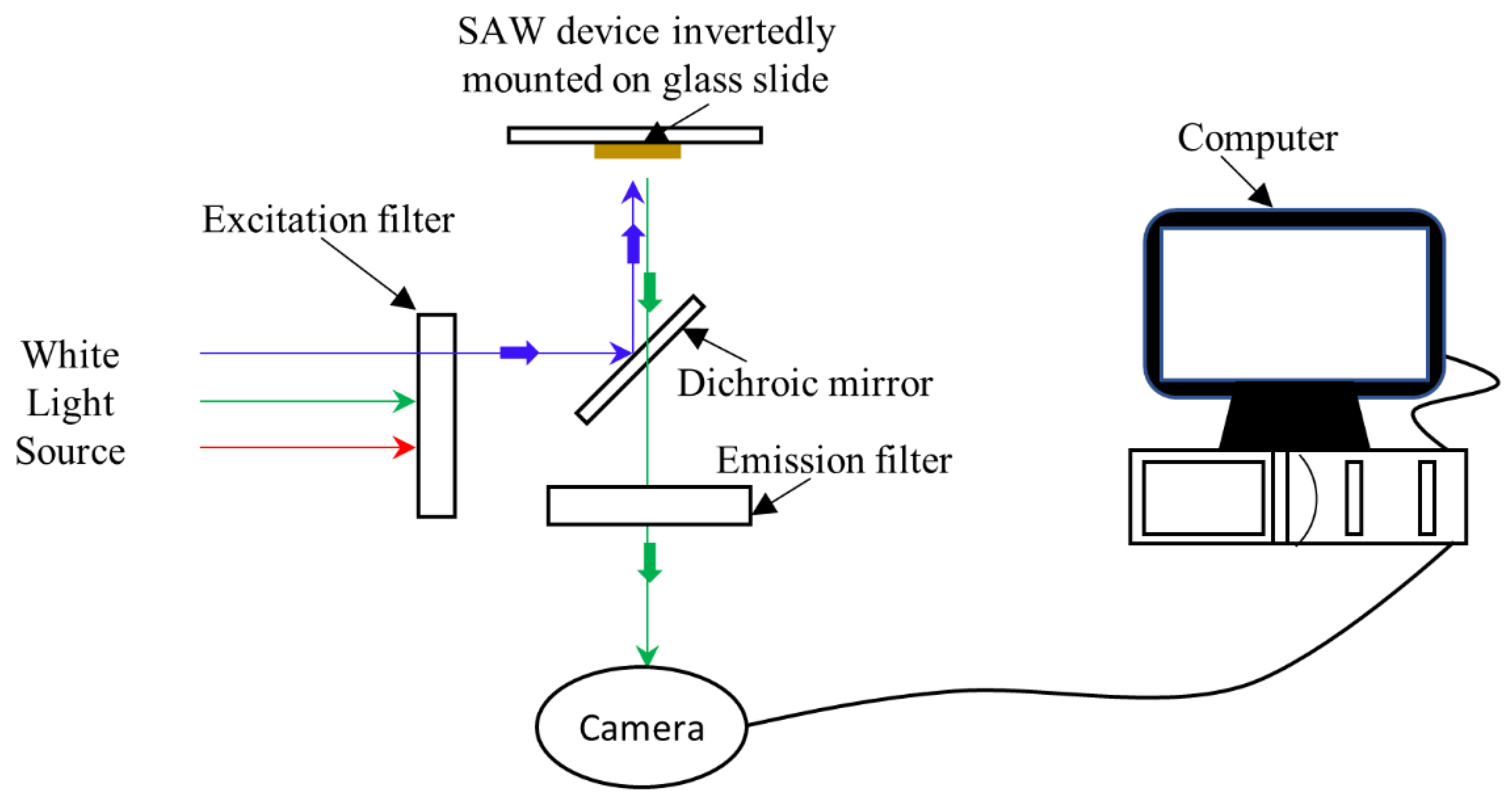 Sensors 22 04096 g005