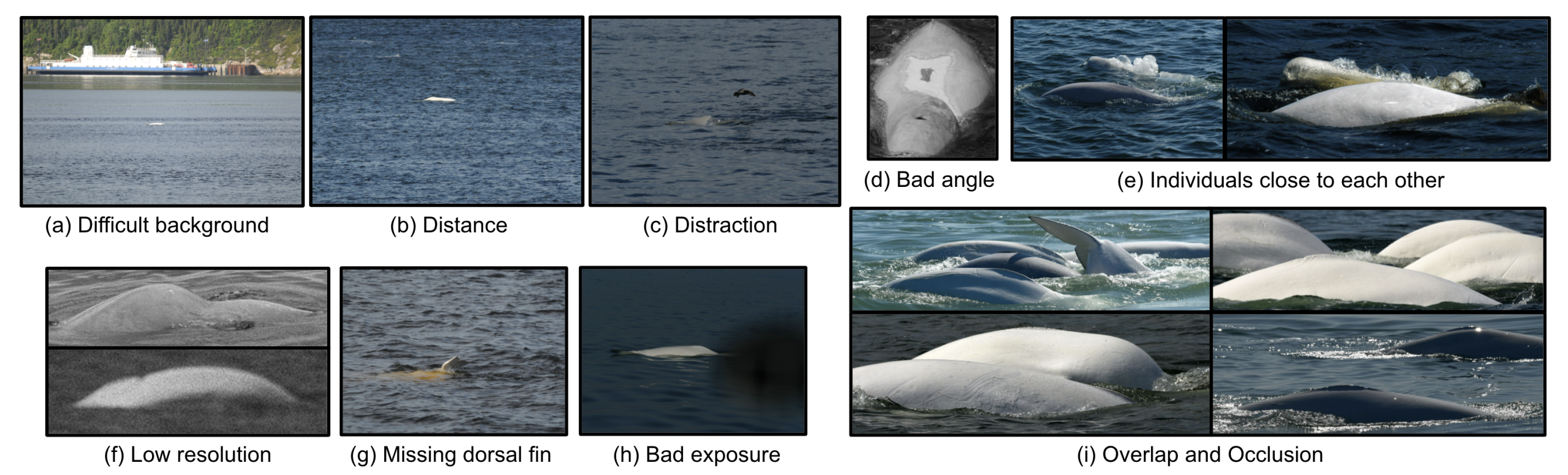 Sensors 22 04107 g001