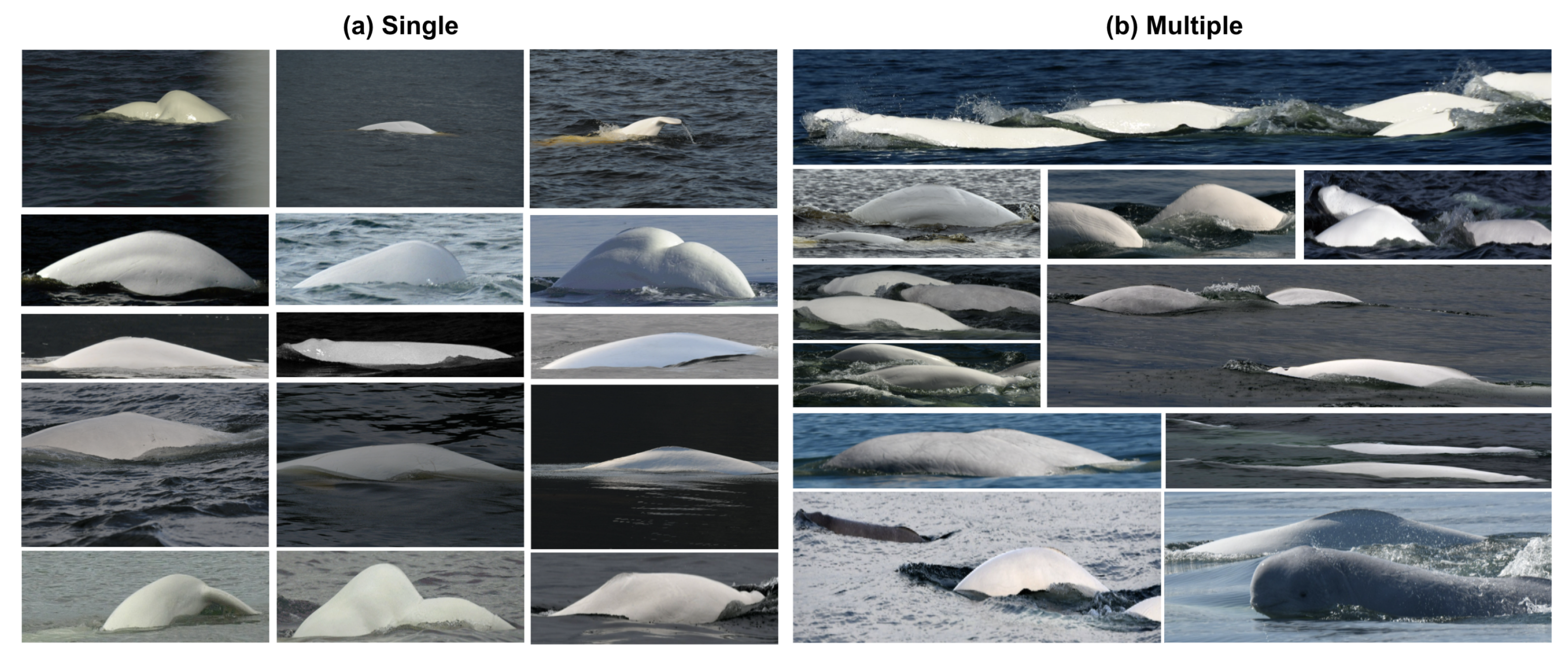 Sensors 22 04107 g004