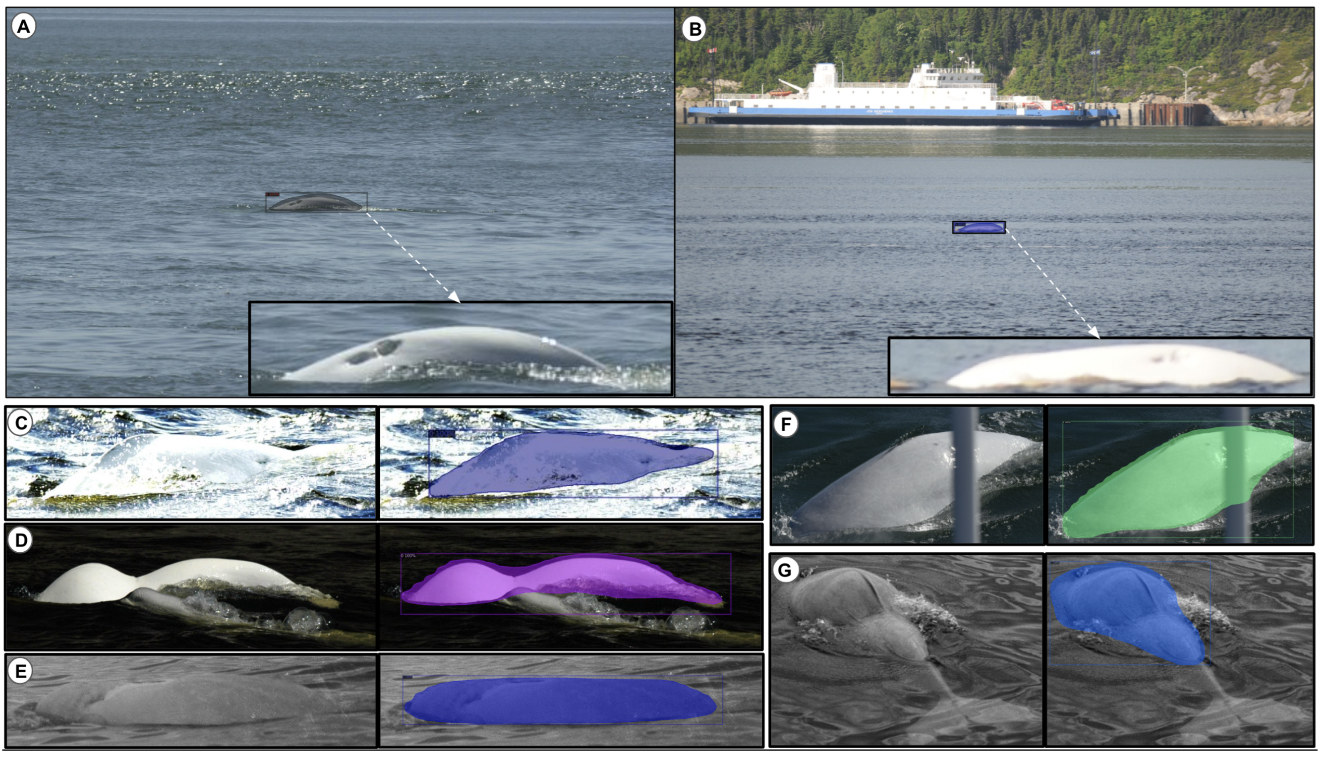 Sensors 22 04107 g009