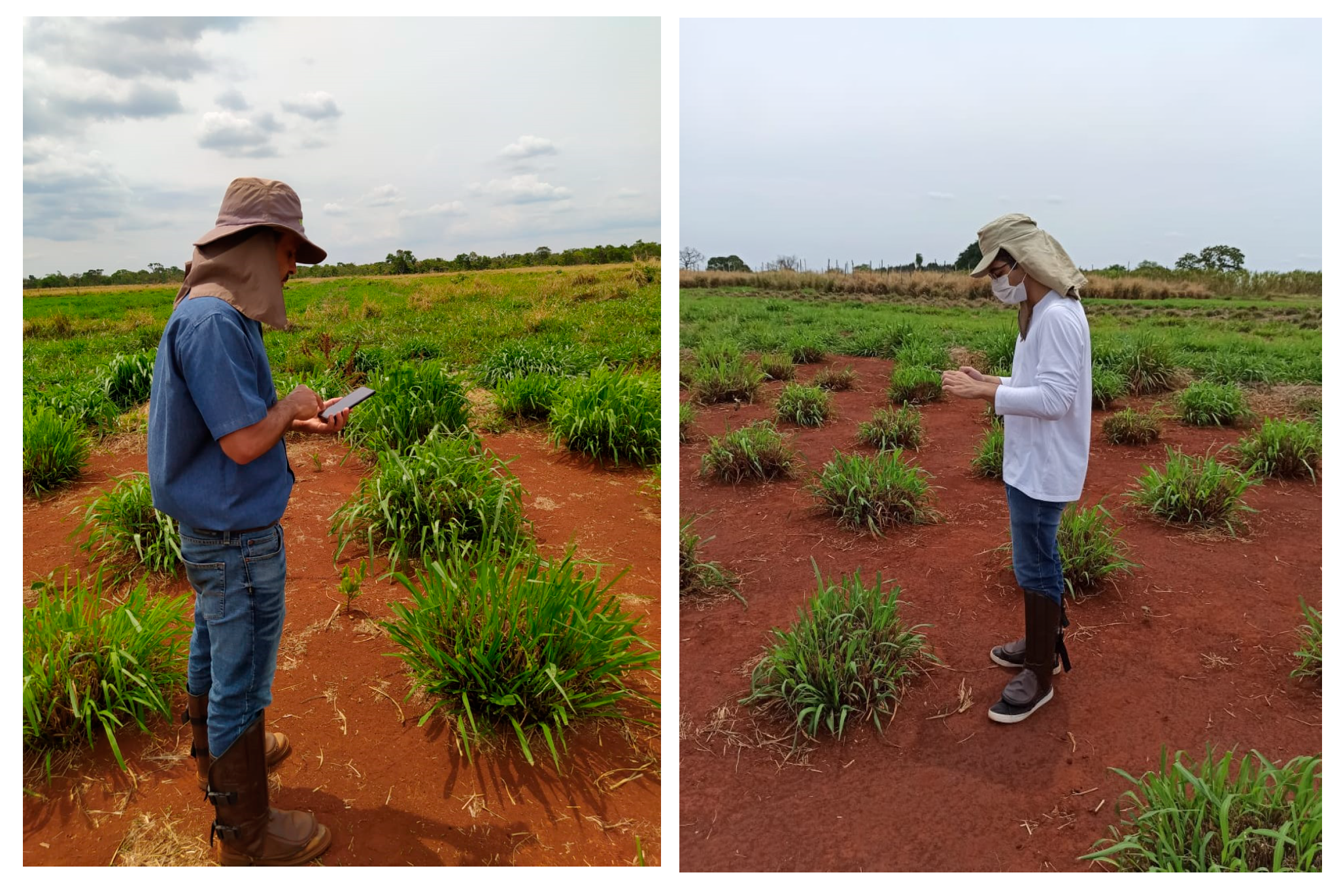 Sensors 22 04116 g003