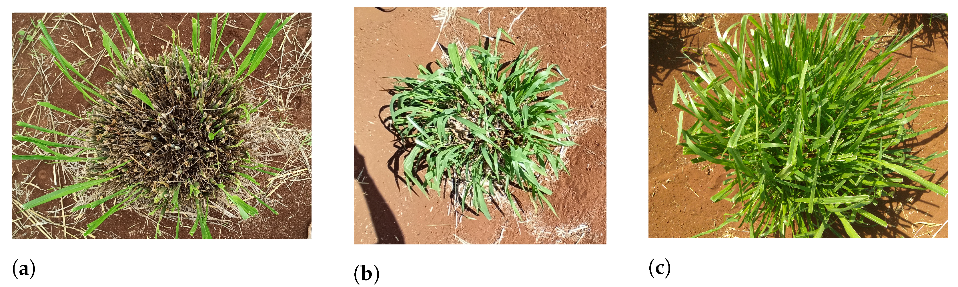 Sensors 22 04116 g004