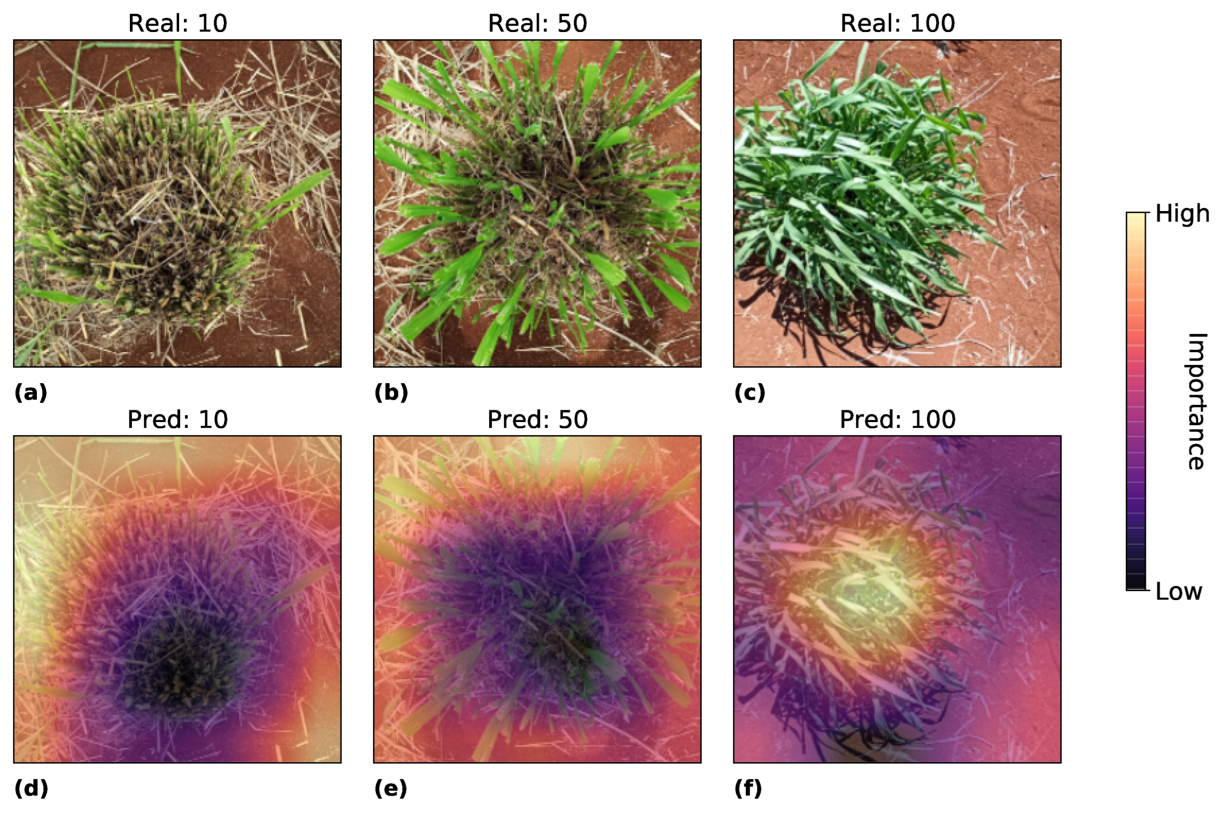 Sensors 22 04116 g010