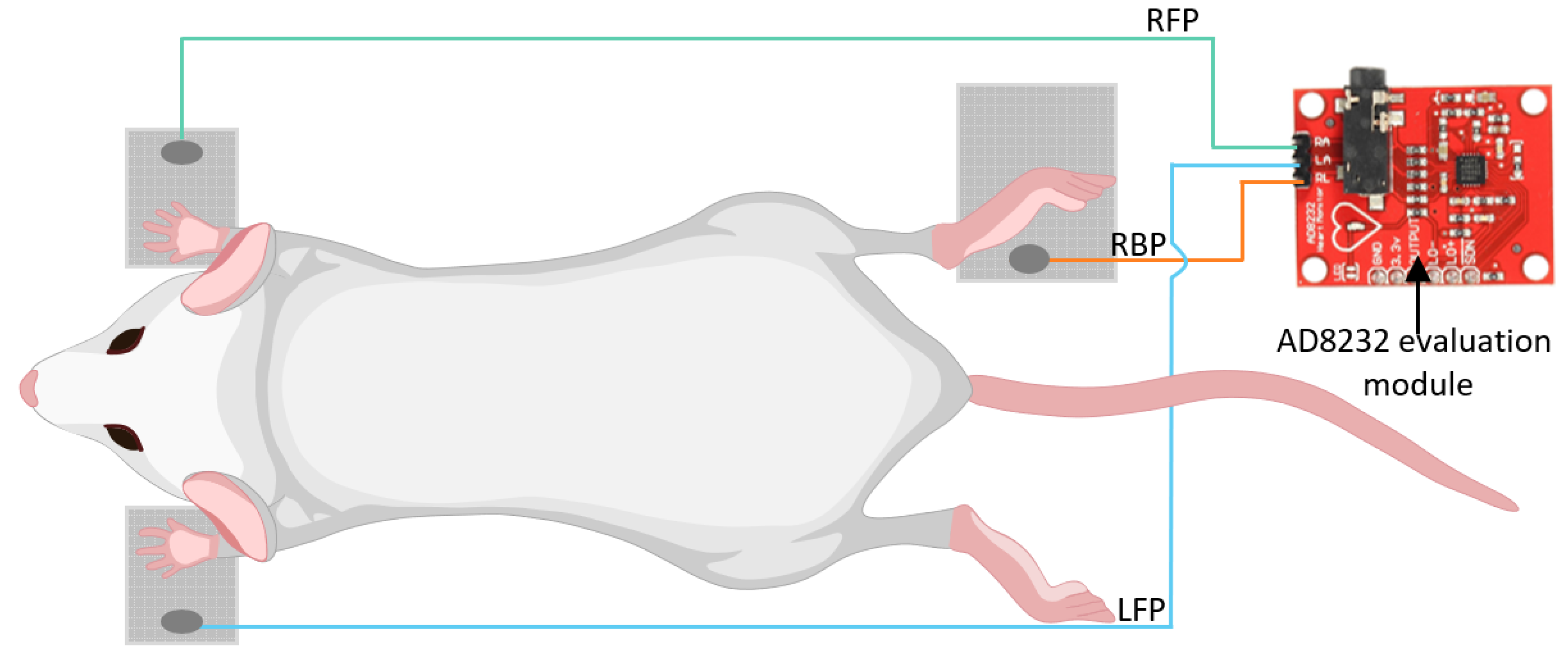 Sensors 22 04264 g004