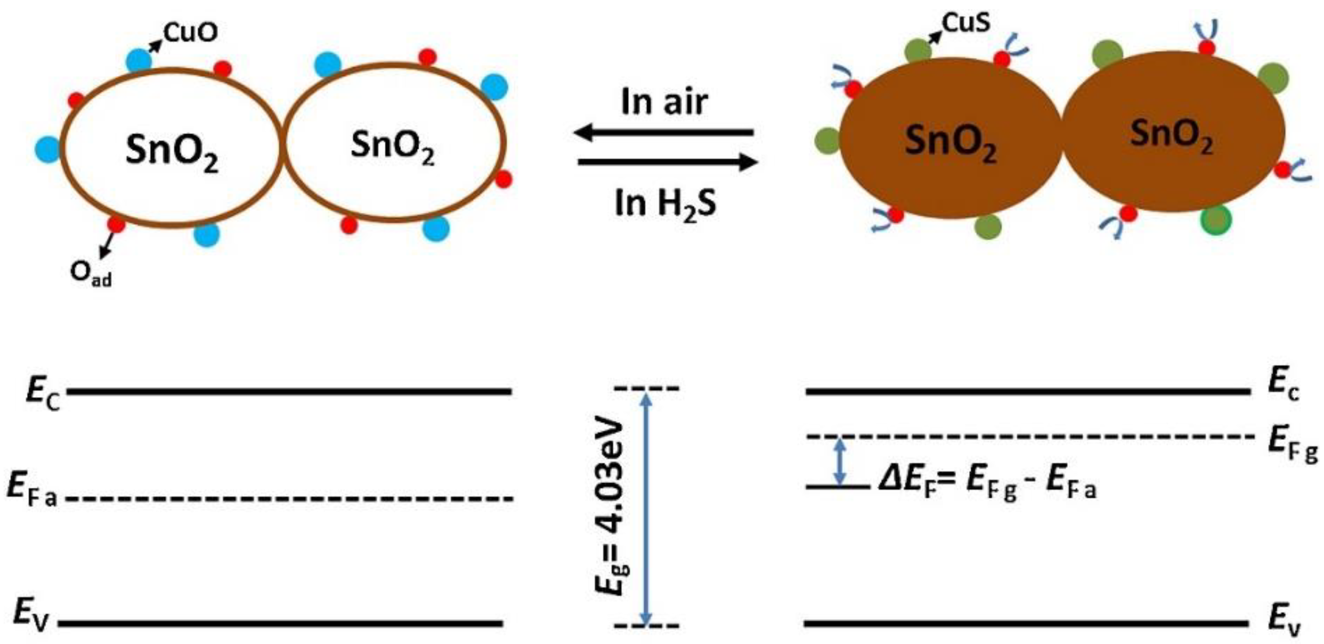 Sensors 22 04369 g013