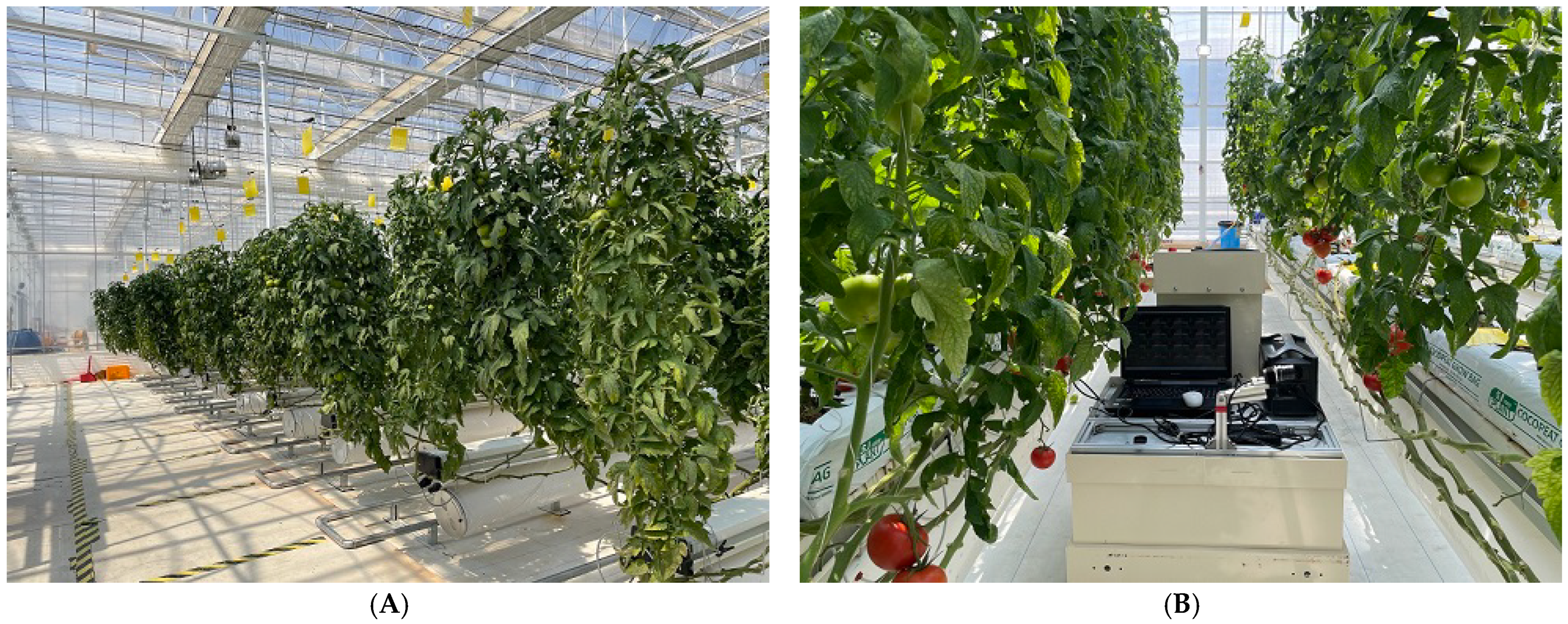 Sensors 22 04378 g004